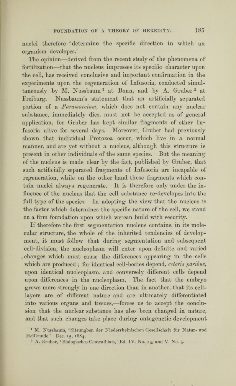 nuclei therefore ‘determine the specific direction in which an organism developes.’ The opinion—derived from the recent study of the phenomena of fertilization—that the nucleus impresses its specific character upon the cell, has received conclusive and important confirmation in the experiments upon the regeneration of Infusoria, conducted simul taneously by M. Nussbaum 1 at Bonn, and by A. Gruber 2 at Freiburg. Nussbaum’s statement that an artificially separated portion of a Paramaecium , which does not contain any nuclear substance, immediately dies, must not be accepted as of general application, for Gruber has kept similar fragments of other In fusoria alive for several days. Moreover, Gruber had previously shown that individual Protozoa occur, which live in a normal manner, and are yet without a nucleus, although this structure is present in other individuals of the same species. But the meaning of the nucleus is made clear by the fact, published by Gruber, that such artificially separated fragments of Infusoria are incapable of regeneration, while on the other hand those fragments which con tain nuclei always regenerate. It is therefore only under the in fluence of the nucleus that the cell substance re-developes into the full type of the species. In adopting the view that the nucleus is the factor which determines the specific nature of the cell, we stand on a firm foundation upon which we can build with security. If therefore the first segmentation nucleus contains, in its mole cular structure, the whole of the inherited tendencies of develop ment, it must follow that during segmentation and subsequent cell-division, the nucleoplasm will enter upon definite and varied , changes which must cause the differences appearing in the cells which are produced ; for identical cell-bodies depend, ceteris paribus, upon identical nucleoplasm, and conversely different cells depend upon differences in the nucleoplasm. The fact that the embryo grows more strongly in one direction than in another, that its cell- layers are of different nature and are ultimately differentiated into various organs and tissues,—forces us to accept the conclu sion that the nuclear substance has also been changed in nature, and that such changes take place during ontogenetic development 1 M. Nussbaum, ‘Sitzungber. der Niederrheinischen Gesellschaft fur Natur-und Heilkunde.’ Dec. 15, 1884. 2 A. Gruber, ‘ Biologisches Centralblatt,’ Bd. IV. No. 23, and V. No. 5.