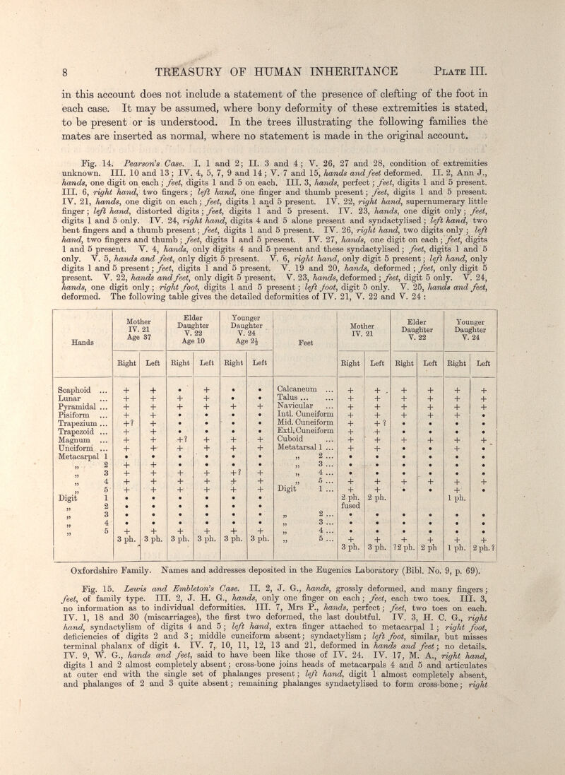 8 TEEÁSURY OF HUMAN INHERITANCE PLATE III. in this account does not include a statement of the presence of clefting of the foot in each case. It may be assumed, where bony deformity of these extremities is stated, to be present or is understood. In the trees illustrating the following families the mates are inserted as normal, where no statement is made in the original account. ^ rig. 14. Pearson's Case. I. 1 and 2; II. 3 and 4; V. 26, 27 and 28, condition of extremities unknown. III. 10 and 13 ; IV. 4, 5, 7, 9 and 14 ; V. 7 and 15, hands and feeL deformed. II. 2, Ann J., hands, one digit on each ; feet, digits 1 and 5 on each. III. 3, hands, perfect ; feet, digits 1 and 5 present. III. 6, right ha/nd, two fingers ; left hand, one finger and thumb present ; feet, digits 1 and 5 present; IV. 21, hands, one digit on each; feet, digits 1 and 5 present. IV. 22, right hand, supernumerary little finger ; left hand, distorted digits ; feet, digits 1 and 5 present. IV. 23, hands, one digit only ; feet, digits 1 and б only. IV. 24, right hand, digits 4 and 5 alone present and syndactylised ; left hand, two bent fingers and a thumb present ; feet, digits 1 and 5 present. IV. 26, right hand, two digits only ; lefi hand, two fingers and thumb ; feet, digits 1 and 5 present. IV. 27, hands, one digit on each ; feet, digits 1 and 5 present. V. 4, hands, only digits 4 and 5 present and these syndactylised ; feet, digits 1 and 5 only. V. 5, hands and feet, only digit 5 present. V. 6, right hand, only digit 5 present ; left ha/nd, only digits 1 and 5 present ; feet, digits 1 and 5 present. V. 19 and 20, hands, deformed ; feet, only digit 5 present. V. 22, hands and feet, only digit 5 present. V. 23, hands, deformed ; feet, digit 5 only. V. 24, hands, one digit only ; right foot, digits 1 and 5 present ; left foot, digit 5 only. V. 25, hands and feet, deformed. The following table gives the detailed deformities of IV. 21, V. 22 and V. 24 : Oxfordshire Family. Names and addresses deposited in the Eugenics Laboratory (Bibl. Ко. 9, p. 69). Fig. 15. Lewis and Embleton's Case. II. 2, J. G., hands, grossly deformed, and many fingers ; feet, of family type. III. 2, J. H. G., hands, only one finger on each; feet, each two toes. III. 3, no information as to individual deformities. III. 7, Mrs P., hands, perfect; feet, two toes on each. IV. 1, 18 and 30 (miscarriages), the first two deformed, the last doubtful. IV. 3, H. C. G., right hand, syndactylism of digits 4 and 5 ; left hand, extra finger attached to metacarpal 1 ; right foot, deficiencies of digits 2 and 3 ; middle cuneiform absent ; syndactylism ; left foot, similar, but misses terminal phalanx of digit 4. IV. 7, 10, 11, 12, 13 and 21, deformed in, hands and feet', no details. IV. 9, W. G., hands and feet, said to have been like those of IV. 24. IV. 17, M. A., right hand, digits 1 and 2 almost completely absent ; cross-bone joins heads of metacarpals 4 and 5 and articulates at outer end with the single set of phalanges present ; left hand, digit 1 almost completely absent, and phalanges of 2 and 3 quite absent; remaining phalanges syndactylised to form cross-bone; right