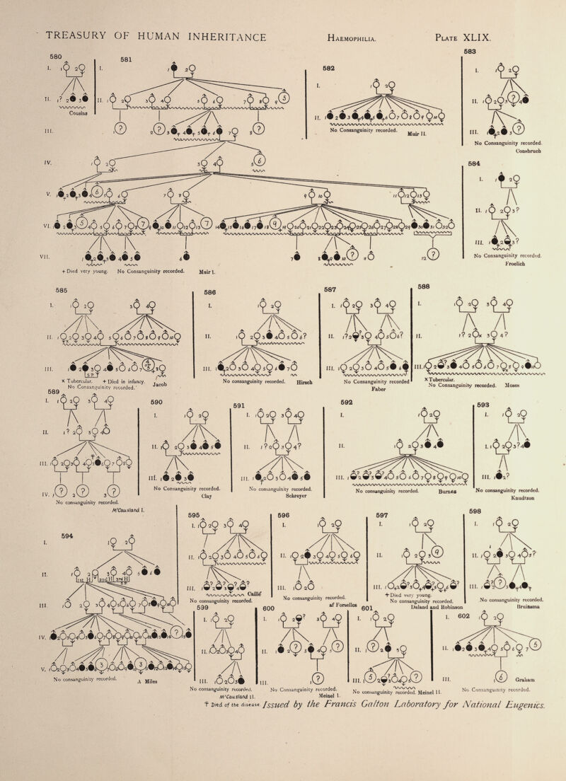 583 II. III. No Consanguinity recorded. Conwbruch 584 u No Consanguinity recorded. Froelich