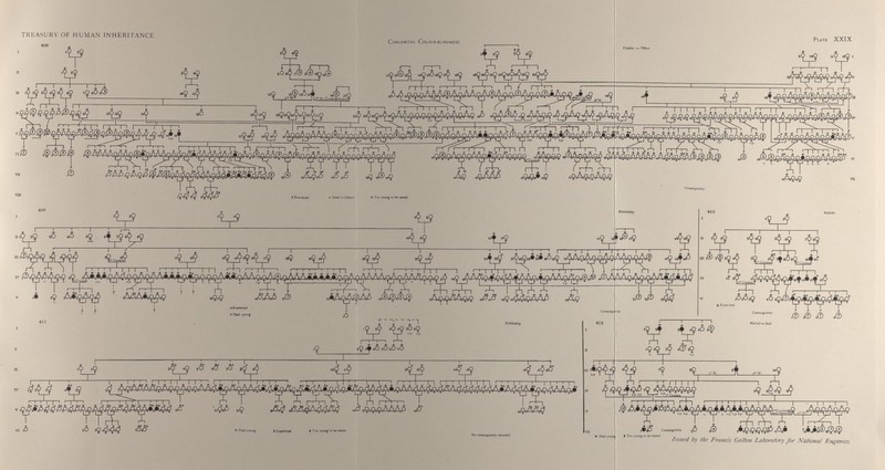 TREASURY OF HUMAN INHERITANCE Congenital Colour-blindness. Plate XXIX
