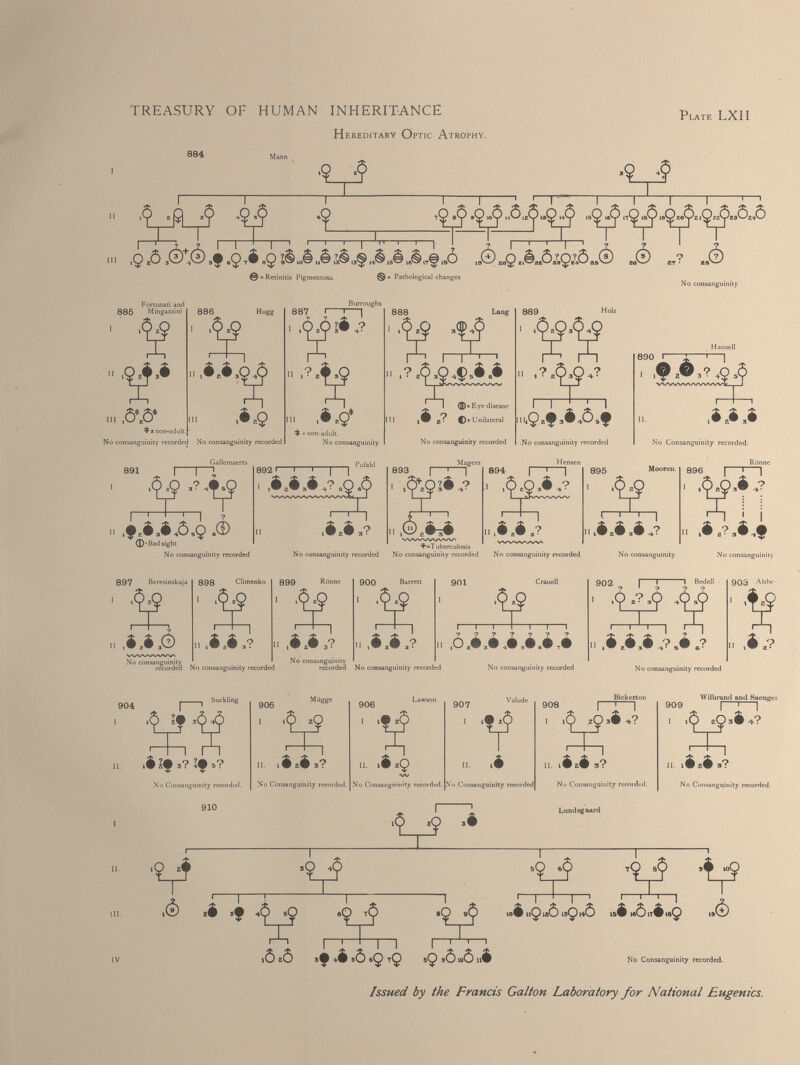 Hereditary Optic Atrophy. Fortunati and No consanguinity recorded No consanguinity recorded Burroughs ^ * non-adult. No consanguinity Gallemaerts 891 * 1 ^ ,^9 I— 1 —'— 1 —I ? .f 2 i 3 i A9 s ® (D^Bad sight No consanguinity recorded 892 » No consanguinity recorded 897 Beresinskaja I 898 Climenko 899 Rönne 900 Barrett 901 ,v .¥ ■;V 1 11 .#»•,? 1 1 1 n ,é M 3 ? I, i.é,? 1 1 ? ? No consanguinity VWWVWVY No consanguinity recorded No consanguinity recorded recorded No consanguinity recorded No consanguinity recorded H , I 1 T ì $ i ? é ? 903 Alshe No consanguinity recorded 906 “ Ügge > 4 z 9 906 Law ” n 907 Valude ■ 'U? Bickecton 90S 1 r 1 —1 i ,9 »9 >i 4 ? Wilbrand and Saeng 909 1 I .9 *9 si 4? T T 11 . iÒ No Consanguinity recorded II. No Consanguinity recorded. x 1 11 . 10 29 w No Consanguinity recorded. II. lèaé 3? No Consanguinity recorded. 11 . liais? No Consanguinity recorded. 910 —I ,i Lundsgaard •tj ■ij ,0 j >f 4 ^> »9 9 *9 ? 9 $ 4 ;°9 i—I—I I— I—I ! . 9 ?(j ) .»è rn r iò 2 Ò ^0 -i ,6 «9 *9 8 9 sòioò ui No Consanguinity recorded. Issued by the Francis Galton Laboratory for National Eugenics.