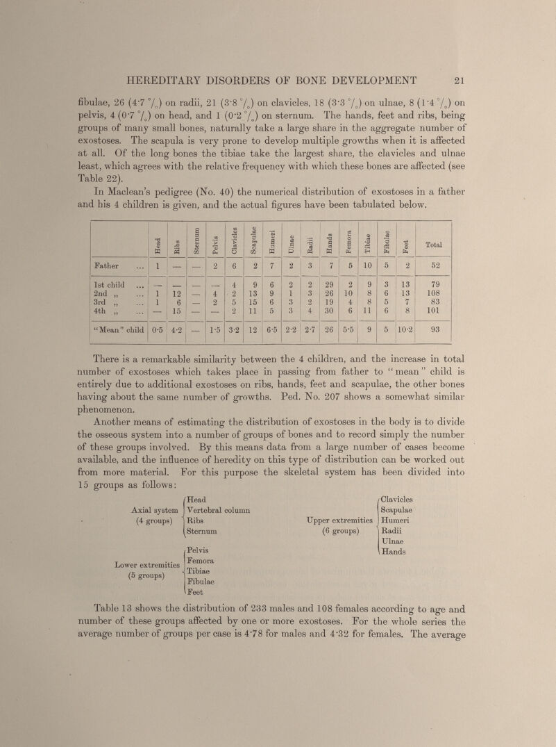 fibulae, 26 (4 - 7 °/ o ) on radii, 21 (3'8 °/„) 011 clavicles, 18 (3‘3'°/ 0 ) on ulnae, 8 (l - 4 °/ o ) on pelvis, 4 (07 %) on head, and 1 (0 - 2 °/ o ) on sternum. The hands, feet and ribs, being- groups of many small bones, naturally take a large share in the aggregate number of exostoses. The scapula is very prone to develop multiple growths when it is affected at all. Of the long bones the tibiae take the largest share, the clavicles and ulnae least, which agrees with the relative frequency with which these bones are affected (see Table 22). In Maclean’s pedigree (No. 40) the numerical distribution of exostoses in a father and bis 4 children is given, and the actual figures have been tabulated below. Head CO « Sternum Pelvis Clavicles Scapulae Humeri Ulnae Radii Hands Femora Tibiae Fibulae Feet Total Father i — — 2 6 2 7 2 3 7 5 10 5 2 52 1st child __ _ 4 9 6 2 2 29 2 9 3 13 79 2nd „ i 12 — 4 2 13 9 i 3 26 10 8 6 13 108 3rd „ i 6 — 2 5 15 6 3 2 19 4 8 5 7 83 4th „ — 15 — — 2 11 5 3 4 30 6 11 6 8 101 “Mean” child 0-5 4-2 — 1-5 3-2 12 6-5 2-2 2-7 26 5-5 9 5 10-2 93 There is a remarkable similarity between the 4 children, and the increase in total number of exostoses which takes place in passing from father to “ mean ” child is entirely due to additional exostoses on ribs, hands, feet and scapulae, the other bones having about the same number of growths. Ped. No. 207 shows a somewhat similar phenomenon. Another means of estimating the distribution of exostoses in the body is to divide the osseous system into a number of groups of bones and to record simply the number of these groups involved. By this means data from a large number of cases become available, and the influence of heredity on this type of distribution can be worked out from more material. For this purpose the skeletal system has been divided into 15 groups as follows: Clavicles Scapulae Humeri Radii Ulnae , Hands Table 13 shows the distribution of 233 males and 108 females according to age and number of these groups affected by one or more exostoses. For the whole series the average number of groups per case is 478 for males and 4 - 32 for females. The average Axial system (4 groups) Lower extremities (5 groups) Head Vertebral column Ribs Sternum Pelvis Femora Tibiae Fibulae Feet Upper extremities (6 groups)