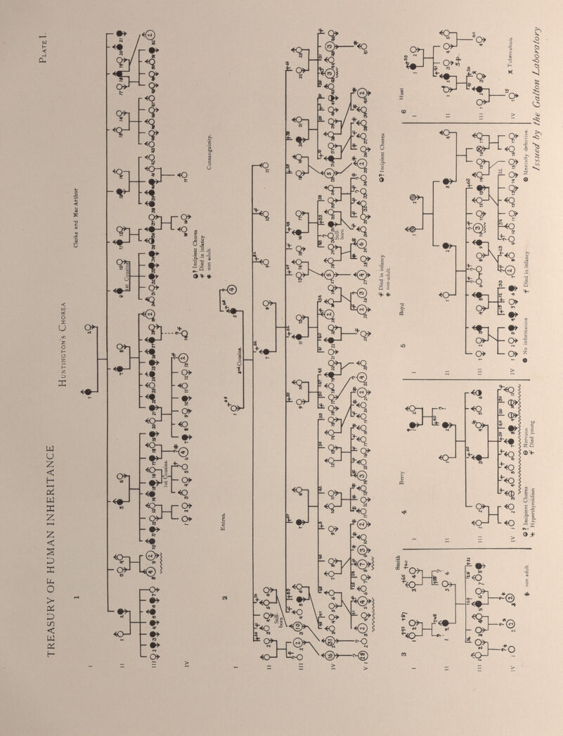 TREASURY OF HUMAN INHERITANCE Plate I. Huntington's Chorea Clarke and Mac Arthur Issued by the Galton Laboratory