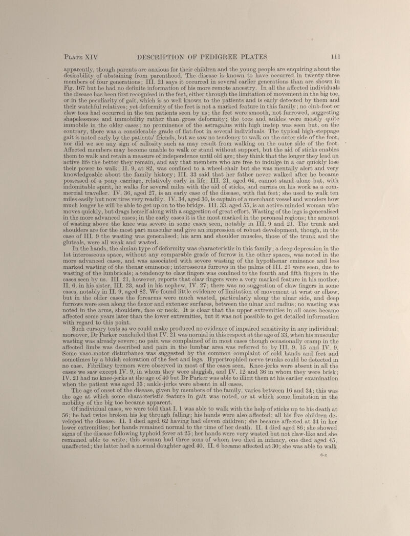 apparently, though parents are anxious for their children and the young people are enquiring about the desirability of abstaining from parenthood. The disease is known to have occurred in twenty-three members of four generations; III. 21 says it occurred in several earlier generations than are shown in Fig. 167 but he had no definite information of his more remote ancestry. In all the affected individuals the disease has been first recognised in the feet, either through the limitation of movement in the big toe, or in the peculiarity of gait, which is so well known to the patients and is early detected by them and their watchful relatives; yet deformity of the feet is not a marked feature in this family; no club-foot or claw toes had occurred in the ten patients seen by us; the feet were smooth, not furrowed, suggesting shapelessness and immobility rather than gross deformity; the toes and ankles were mostly quite immobile in the older cases; no prominence of the astragalus with high instep was seen but, on the contrary, there was a considerable grade of flat-foot in several individuals. The typical high-steppage gait is noted early by the patients’ friends, but we saw no tendency to walk on the outer side of the foot, nor did we see any sign of callosity such as may result from walking on the outer side of the foot. Affected members may become unable to walk or stand without support, but the aid of sticks enables them to walk and retain a measure of independence until old age; they think that the longer they lead an active life the better they remain, and say that members who are free to indulge in a car quickly lose their power to walk; II. 9, at 82, was confined to a wheel-chair but she was mentally alert and very knowledgeable about the family history; III. 33 said that her father never walked after he became possessed of a pony carriage, relatively early in life; III. 21, aged 64, cannot stand alone but, with indomitable spirit, he walks for several miles with the aid of sticks, and carries on his work as a com mercial traveller. IV. 36, aged 27, is an early case of the disease, with flat feet; she used to walk ten miles easily but now tires very readily. IV. 34, aged 30, is captain of a merchant vessel and wonders how much longer he will be able to get up on to the bridge. III. 33, aged 55, is an active-minded woman who moves quickly, but drags herself along with a suggestion of great effort. Wasting of the legs is generalised in the more advanced cases; in the early cases it is the most marked in the peroneal regions; the amount of wasting above the knee was severe in some cases seen, notably in III. 9 and 21. The trunk and shoulders are for the most part muscular and give an impression of robust development, though, in the case of III. 9 the wasting was generalised; his arm and shoulder muscles, those of the trunk and the gluteals, were all weak and wasted. In the hands, the simian type of deformity was characteristic in this family; a deep depression in the 1st interosseous space, without any comparable grade of furrow in the other spaces, was noted in the more advanced eases, and was associated with severe wasting of the hypothenar eminence and less marked wasting of the thenar eminence; interosseous furrows in the palms of III. 21 were seen, due to wasting of the lumbricals; a tendency to claw fingers was confined to the fourth and fifth fingers in the cases seen by us. III. 21, however, reports that claw fingers were a very marked feature in his mother, II. 6, in his sister, III. 23, and in his nephew, IV. 27; there was no suggestion of claw fingers in some cases, notably in II. 9, aged 82. We found little evidence of limitation of movement at wrist or elbow, but in the older cases the forearms were much wasted, particularly along the ulnar side, and deep furrows were seen along the flexor and extensor surfaces, between the ulnar and radius; no wasting was noted in the arms, shoulders, face or neck. It is clear that the upper extremities in all cases became affected some years later than the lower extremities, but it was not possible to get detailed information with regard to this point. Such cursory tests as we could make produced no evidence of impaired sensitivity in any individual; moreover, Dr Parker concluded that IV. 21 was normal in this respect at the age of 33, when his muscular wasting was already severe; no pain was complained of in most cases though occasionally cramp in the affected limbs was described and pain in the lumbar area was referred to by III. 9, 15 and IV. 9. Some vaso-motor disturbance was suggested by the common complaint of cold hands and feet and sometimes by a bluish coloration of the feet and legs. Hypertrophied nerve trunks could be detected in no case. Fibrillary tremors were observed in most of the cases seen. Knee-jerks were absent in all the cases we saw except IV. 9, in whom they were sluggish, and IV. 12 and 36 in whom they were brisk; IV. 21 had no knee-jerks at the age of 40 but Dr Parker was able to illicit them at his earlier examination when the patient was aged 33; ankle-jerks were absent in all cases. The age of onset of the disease, given by members of the family, varies between 16 and 34; this was the age at which some characteristic feature in gait was noted, or at which some limitation in the mobility of the big toe became apparent. Of individual cases, we were told that I. 1 was able to walk with the help of sticks up to his death at 56; he had twice broken his leg through falling; his hands were also affected; all his five children de veloped the disease. II. 1 died aged 62 having had eleven children; she became affected at 34 in her lower extremities; her hands remained normal to the time of her death. II. 4 died aged 86; she showed signs of the disease following typhoid fever at 25; her hands were very wasted but not claw-like and she remained able to write; this woman had three sons of whom two died in infancy, one died aged 45, unaffected; the latter had a normal daughter aged 40. II. 6 became affected at 30; she was able to walk