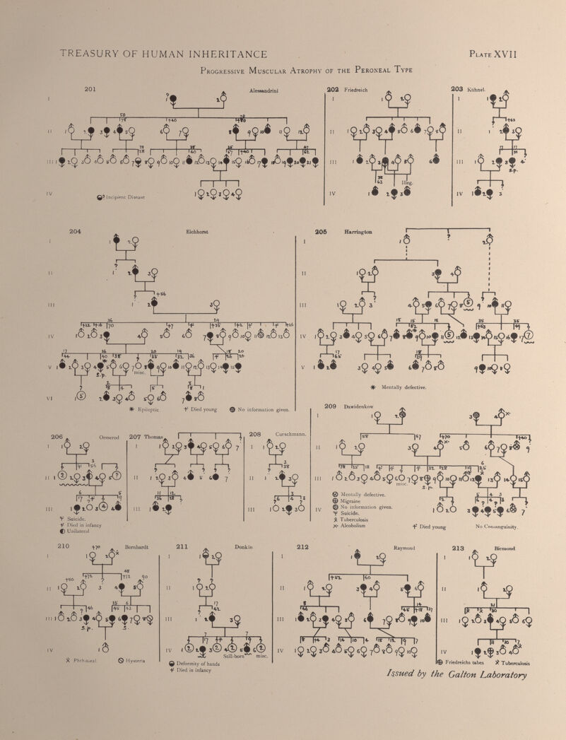 203 Ktihnel. 1 11 It <■» ft if 1 'll?’?/ t Died in infancy Issued by the Galton Laboratory