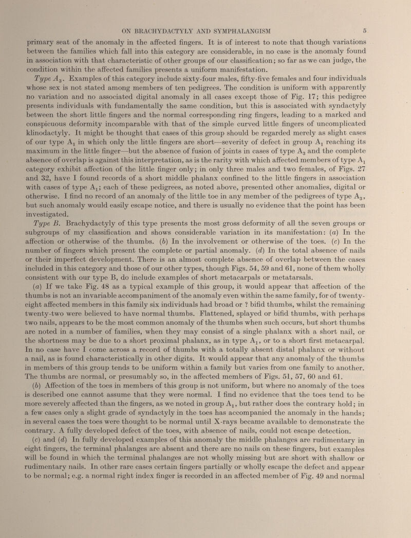 primary seat of the anomaly in the affected fingers. It is of interest to note that though variations between the families which fall into this category are considerable, in no case is the anomaly found in association with that characteristic of other groups of our classification; so far as we can judge, the condition within the affected families presents a uniform manifestation. Type A 3 . Examples of this category include sixty-four males, fifty-five females and four individuals whose sex is not stated among members of ten pedigrees. The condition is uniform with apparently no variation and no associated digital anomaly in all cases except those of Eig. 17; this pedigree presents individuals with fundamentally the same condition, but this is associated with syndactyly between the short little fingers and the normal corresponding ring fingers, leading to a marked and conspicuous deformity incomparable with that of the simple curved little fingers of uncomplicated klinodactyly. It might be thought that cases of this group should be regarded merely as slight cases of our type A | in which only the little fingers are short—severity of defect in group A, reaching its maximum in the little finger—hut the absence of fusion of joints in cases of type A 3 and the complete absence of overlap is against this interpretation, as is the rarity with which affected members of type A x category exhibit affection of the little finger only; in only three males and two females, of Figs. 27 and 32, have I found records of a short middle phalanx confined to the little fingers in association with cases of type A-,; each of these pedigrees, as noted above, presented other anomalies, digital or otherwise. I find no record of an anomaly of the little toe in any member of the pedigrees of type A 3 , but such anomaly would easily escape notice, and there is usually no evidence that the point has been investigated. Type B. Brachydactyly of this type presents the most gross deformity of all the seven groups or subgroups of my classification and shows considerable variation in its manifestation: (a) In the affection or otherwise of the thumbs. ( b ) In the involvement or otherwise of the toes, (c) In the number of fingers which present the complete or partial anomaly, (d) In the total absence of nails or their imperfect development. There is an almost complete absence of overlap between the cases included in this category and those of our other types, though Figs. 54, 59 and 61, none of them wholly consistent with our type B, do include examples of short metacarpals or metatarsals. (a) If we take Fig. 48 as a typical example of this group, it would appear that affection of the thumbs is not an invariable accompaniment of the anomaly even within the same family, for of twenty- eight affected members in this family six individuals had broad or ? bifid thumbs, whilst the remaining twenty-two were believed to have normal thumbs. Flattened, splayed or bifid thumbs, with perhaps two nails, appears to be the most common anomaly of the thumbs when such occurs, but short thumbs are noted in a number of families, when they may consist of a single phalanx with a short nail, or the shortness may be due to a short proximal phalanx, as in type A-,, or to a short first metacarpal. In no case have I come across a record of thumbs with a totally absent distal phalanx or without a nail, as is found characteristically in other digits. It would appear that any anomaly of the thumbs in members of this group tends to be uniform within a family but varies from one family to another. The thumbs are normal, or presumably so, in the affected members of Figs. 51, 57, 60 and 61. ( b) Affection of the toes in members of this group is not uniform, but where no anomaly of the toes is described one cannot assume that they were normal. I find no evidence that the toes tend to be more severely affected than the fingers, as we noted in group Aj, but rather does the contrary hold; in a few cases only a slight grade of syndactyly in the toes has accompanied the anomaly in the hands; in several cases the toes were thought to be normal until X-rays became available to demonstrate the contrary. A fully developed defect of the toes, with absence of nails, could not escape detection. (c) and ( d) In fully developed examples of this anomaly the middle phalanges are rudimentary in eight fingers, the terminal phalanges are absent and there are no nails on these fingers, but examples will be found in which the terminal phalanges are not wholly missing but are short with shallow or rudimentary nails. In other rare cases certain fingers partially or wholly escape the defect and appear to be normal; e.g. a normal right index finger is recorded in an affected member of Fig. 49 and normal