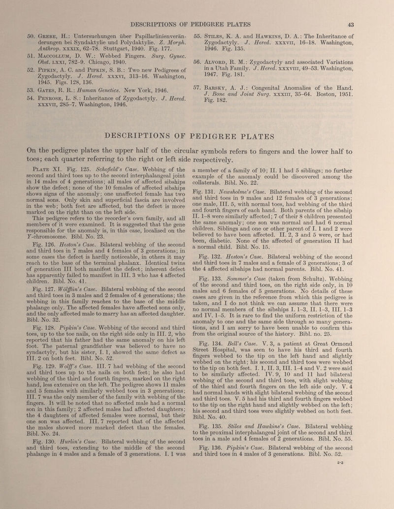 50. Grebe, H.: Untersuchungen über Papillarlinienverän- derungen bei Syndaktylie und Polydaktylie. Z. Morph. Anthrop. xxxix, 62-78. Stuttgart, 1940. Fig. 177. 51. Maccollttm, D. W.: Webbed Fingers. Surg. Gynec. Obst, lxxi, 782-9. Chicago, 1940. 52. Pipkin, A. C. and Pipkin, S. B.: Two new Pedigrees of Zygodactyly. J. Hered. xxxvi, 313-16. Washington, 1945. Figs. 128, 136. 53. Gates, R. R.: Human Genetics. New York, 1946. 54. Penrose, L. S.: Inheritance of Zygodactyly. J. Hered. xxxvn, 285-7. Washington, 1946. 55. Stiles, K. A. and Hawkins, D. A.: The Inheritance of Zygodactyly. J. Hered. xxxvn, 16-18. Washington, 1946. Fig. 135. 56. Alvord, R. M. : Zygodactyly and associated Variations in a Utah Family. J. Hered. xxxvin, 49-53. Washington, 1947. Fig. 181. 57. Barsky, A. J.: Congenital Anomalies of the Hand. J. Bone and Joint Surg. xxxttt, 35-64. Boston, 1951. Fig. 182. DESCRIPTIONS OF PEDIGREE PLATES On the pedigree plates the upper half of the circular symbols refers to fingers and the lower half to toes; each quarter referring to the right or left side respectively. Plate XI. Fig. 125. Schofield’s Case. Webbing of the second and third toes up to the second interphalangeal joint in 14 males of 4 generations; all males of affected sibships show the defect; none of the 10 females of affected sibships shows signs of the anomaly; one unaffected female has two normal sons. Only skin and superficial fascia are involved in the web; both feet are affected, but the defect is more marked on the right than on the left side. This pedigree refers to the recorder’s own family, and all members of it were examined. It is suggested that the gene responsible for the anomaly is, in this case, localised on the F-chromosome. Bibl. No. 23. Fig. 126. Heston’s Case. Bilateral webbing of the second and third toes in 7 males and 4 females of 3 generations; in some cases the defect is hardly noticeable, in others it may reach to the base of the terminal phalanx. Identical twins of generation III both manifest the defect; inherent defect has apparently failed to manifest in III. 3 who has 4 affected children. Bibl. No. 41. Fig. 127. Wolfflin’s Case. Bilateral webbing of the second and third toes in 3 males and 2 females of 4 generations; the webbing in this family reaches to the base of the middle phalange only. The affected females have affected sons only, and the only affected male to marry has an affected daughter. Bibl. No. 32. Fig. 128. Pipkin’s Case. Webbing of the second and third toes, up to the toe nails, on the right side only in III. 2, who reported that his father had the same anomaly on his left foot. The paternal grandfather was believed to have no syndactyly, but his sister, I. 1, showed the same defect as III. 2 on both feet. Bibl. No. 52. Fig. 129. Wolff’s Case. III. 7 had webbing of the second and third toes up to the nails on both feet; he also had webbing of the third and fourth fingers, marked on the right hand, less extensive on the left. The pedigree shows 11 males and 5 females with similarly webbed toes in 3 generations; III. 7 was the only member of the family with webbing of the fingers. It will be noted that no affected male had a normal son in this family; 2 affected males had affected daughters; the 4 daughters of affected females were normal, but their one son was affected. III. 7 reported that of the affected the males showed more marked defect than the females. Bibl. No. 24. Fig. 130. Hurlin’s Case. Bilateral webbing of the second and third toes, extending to the middle of the second phalange in 4 males and a female of 3 generations. I, 1 was a member of a family of 10; II. 1 had 5 siblings; no further example of the anomaly could be discovered among the collaterals. Bibl. No. 22. Fig. 131. Newsholme’s Case. Bilateral webbing of the second and third toes in 9 males and 12 females of 3 generations; one male, III. 5, with normal toes, had webbing of the third and fourth fingers of each hand. Both parents of the sibship II. 1-8 were similarly affected; 7 of their 8 children presented the same anomaly; one son was normal and had 6 normal children. Siblings and one or other parent of I. 1 and 2 were believed to have been affected. II. 2, 3 and 5 were, or had been, diabetic. None of the affected of generation II had a normal child. Bibl. No. 15. Fig. 132. Heston’s Case. Bilateral webbing of the second and third toes in 7 males and a female of 3 generations; 3 of the 4 affected sibships had normal parents. Bibl. No. 41. Fig. 133. Sommer’s Case (taken from Schultz). Webbing of the second and third toes, on the right side only, in 10 males and 6 females of 5 generations. No details of these cases are given in the reference from which this pedigree is taken, and I do not think we can assume that there were no normal members of the sibships I. 1-3, II. 1-3, III. 1-3 and IV. 1-5. It is rare to find the uniform restriction of the anomaly to one and the same side through so many genera tions, and I am sorry to have been unable to confirm this from the original source of the history. Bibl. no. 25. Fig. 134. Bell’s Case. V. 3, a patient at Great Ormond Street Hospital, was seen to have his third and fourth fingers webbed to the tip on the left hand and slightly webbed on the right; his second and third toes were webbed to the tip on both feet. I. 1, II. 3, III. 1-4 and V. 2 were said to be similarly affected. IV. 9, 10 and 11 had bilateral webbing of the second and third toes, with slight webbing of the third and fourth fingers on the left side only. V. 4 had normal hands with slight bilateral webbing of the second and third toes. V. 5 had his third and fourth fingers webbed to the tip on the right hand and slightly webbed on the left; his second and third toes were slightly webbed on both feet. Bibl. No. 40. Fig. 135. Stiles and Hawkins’s Case. Bilateral webbing to the proximal interphalangeal joint of the second and third toes in a male and 4 females of 2 generations. Bibl. No. 55. Fig. 136. Pipkin’s Case. Bilateral webbing of the second and third toes in 4 males of 3 generations. Bibl. No. 52.