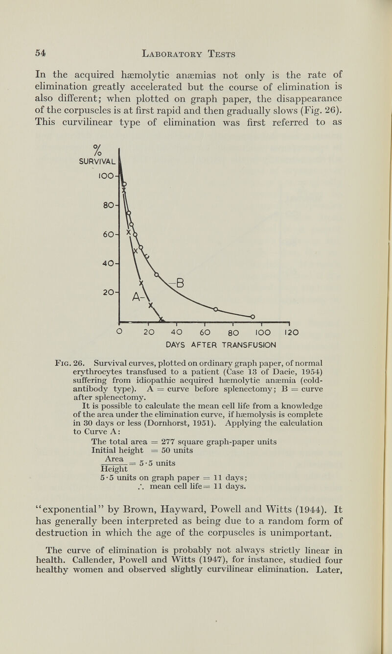 In the acquired haemolytic anaemias not only is the rate of elimination greatly accelerated but the course of elimination is also different; when plotted on graph paper, the disappearance of the corpuscles is at first rapid and then gradually slows (Fig. 26). This curvilinear type of elimination was first referred to as Fig. 26. Survival curves, plotted on ordinary graph paper, of normal erythrocytes transfused to a patient (Case 13 of Dacie, 1954) suffering from idiopathic acquired haemolytic anaemia (cold- antibody type). A = curve before splenectomy; B = curve after splenectomy. It is possible to calculate the mean cell life from a knowledge of the area under the elimination curve, if haemolysis is complete in 30 days or less (Dornhorst, 1951). Applying the calculation to Curve A: The total area = 277 square graph-paper units Initial height = 50 units Area _ _ .. . , =5-5 units Height 5 • 5 units on graph paper = 11 days; mean cell life = 11 days. “exponential” by Brown, Hayward, Powell and Witts (1944). It has generally been interpreted as being due to a random form of destruction in which the age of the corpuscles is unimportant. The curve of elimination is probably not always strictly linear in health. Callender, Powell and Witts (1947), for instance, studied four healthy women and observed slightly curvilinear elimination. Later,