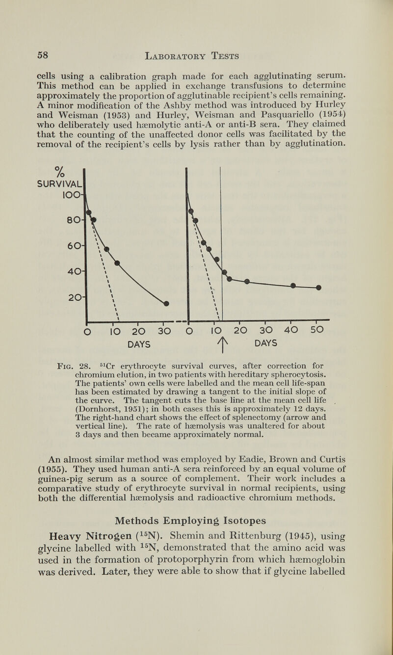 cells using a calibration graph made for each agglutinating serum. This method can be applied in exchange transfusions to determine approximately the proportion of agglutinable recipient’s cells remaining. A minor modification of the Ashby method was introduced by Hurley and Weisman (1953) and Hurley, Weisman and Pasquariello (1954) who deliberately used haemolytic anti-A or anti-B sera. They claimed that the counting of the unaffected donor cells was facilitated by the removal of the recipient’s cells by lysis rather than by agglutination. Fig. 28. 51 Cr erythrocyte survival curves, after correction for chromium elution, in two patients with hereditary spherocytosis. The patients’ own cells were labelled and the mean cell life-span has been estimated by drawing a tangent to the initial slope of the curve. The tangent cuts the base line at the mean cell life (Dornhorst, 1951); in both cases this is approximately 12 days. The right-hand chart shows the effect of splenectomy (arrow and vertical line). The rate of haemolysis was unaltered for about 3 days and then became approximately normal. An almost similar method was employed by Eadie, Brown and Curtis (1955). They used human anti-A sera reinforced by an equal volume of guinea-pig serum as a source of complement. Their work includes a comparative study of erythrocyte survival in normal recipients, using both the differential haemolysis and radioactive chromium methods. Methods Employing Isotopes Heavy Nitrogen ( 15 N). Shemin and Rittenburg (1945), using glycine labelled with 15 N, demonstrated that the amino acid was used in the formation of protoporphyrin from which haemoglobin was derived. Later, they were able to show that if glycine labelled