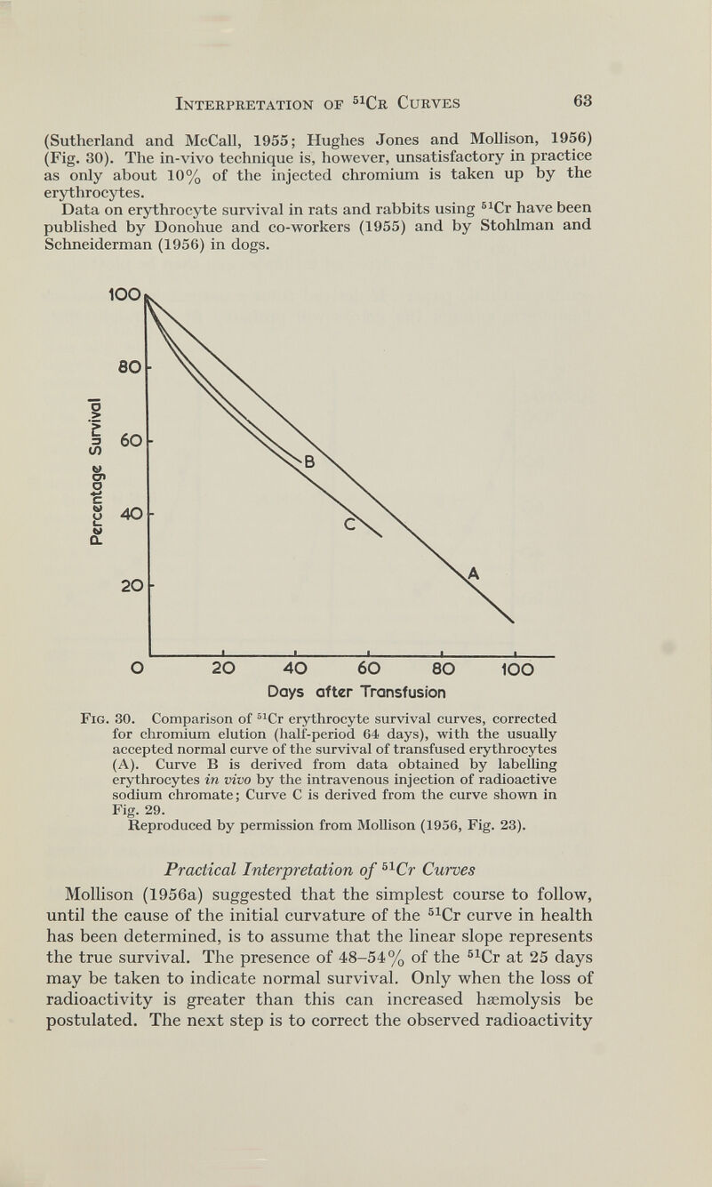 (Sutherland and McCall, 1955; Hughes Jones and Mollison, 1956) (Fig. 30). The in-vivo technique is, however, unsatisfactory in practice as only about 10% of the injected chromium is taken up by the erythrocytes. Data on erythrocyte survival in rats and rabbits using 61 Cr have been published by Donohue and co-workers (1955) and by Stohlman and Schneiderman (1956) in dogs. Fig. 30. Comparison of 51 Cr erythrocyte survival curves, corrected for chromium elution (half-period 64 days), with the usually accepted normal curve of the survival of transfused erythrocytes (A). Curve B is derived from data obtained by labelling erythrocytes in vivo by the intravenous injection of radioactive sodium chromate; Curve C is derived from the curve shown in Fig. 29. Reproduced by permission from Mollison (1956, Fig. 23). Practical Interpretation of 51 Cr Curves Mollison (1956a) suggested that the simplest course to follow, until the cause of the initial curvature of the 51 Cr curve in health has been determined, is to assume that the linear slope represents the true survival. The presence of 48-54% of the 51 Cr at 25 days may be taken to indicate normal survival. Only when the loss of radioactivity is greater than this can increased haemolysis be postulated. The next step is to correct the observed radioactivity