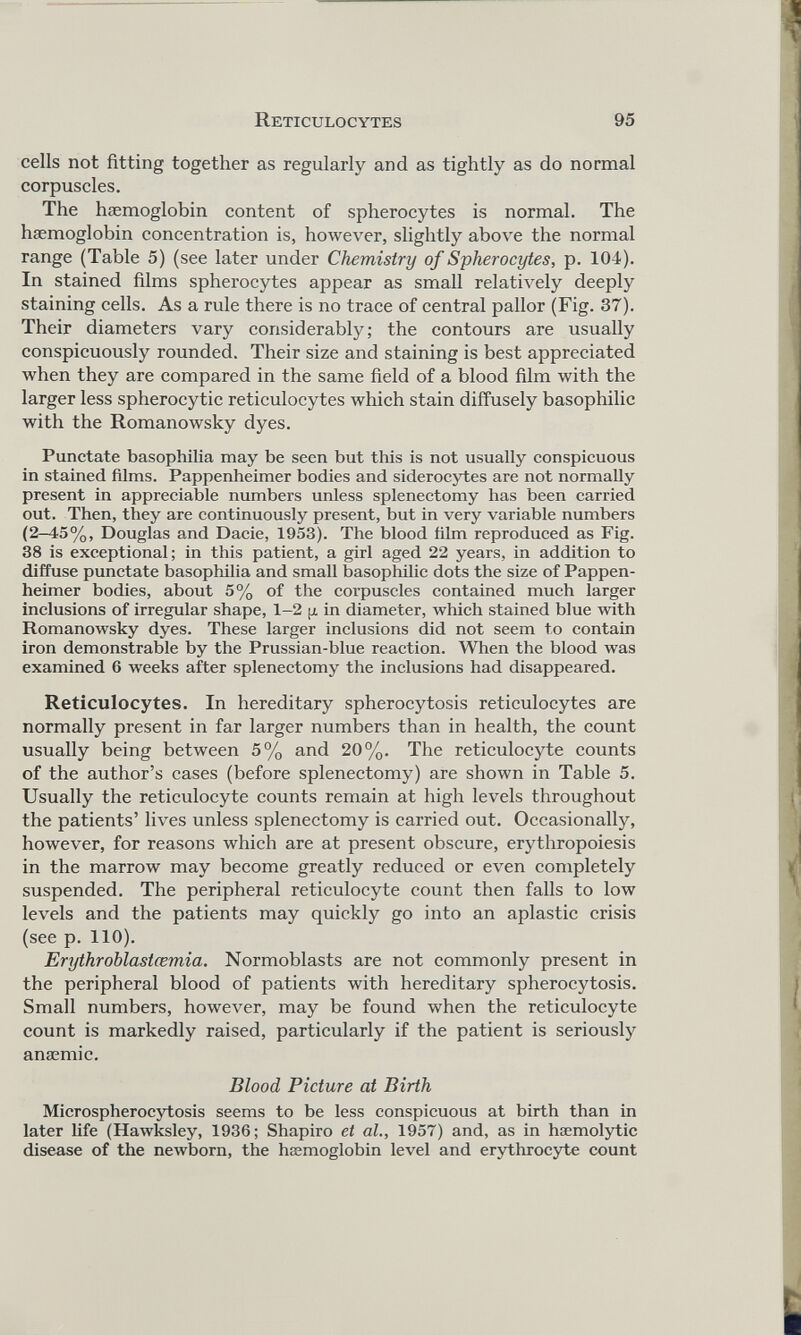 cells not fitting together as regularly and as tightly as do normal corpuscles. The haemoglobin content of spherocytes is normal. The haemoglobin concentration is, however, slightly above the normal range (Table 5) (see later under Chemistry of Spherocytes, p. 104). In stained films spherocytes appear as small relatively deeply staining cells. As a rule there is no trace of central pallor (Fig. 37). Their diameters vary considerably; the contours are usually conspicuously rounded. Their size and staining is best appreciated when they are compared in the same field of a blood film with the larger less spherocytic reticulocytes which stain diffusely basophilic with the Romanowsky dyes. Punctate basophilia may be seen but this is not usually conspicuous in stained films. Pappenheimer bodies and siderocytes are not normally present in appreciable numbers unless splenectomy has been carried out. Then, they are continuously present, but in very variable numbers (2-45%, Douglas and Dacie, 1953). The blood film reproduced as Fig. 38 is exceptional; in this patient, a girl aged 22 years, in addition to diffuse punctate basophilia and small basophilic dots the size of Pappen heimer bodies, about 5% of the corpuscles contained much larger inclusions of irregular shape, 1-2 [j. in diameter, which stained blue with Romanowsky dyes. These larger inclusions did not seem to contain iron demonstrable by the Prussian-blue reaction. When the blood was examined 6 weeks after splenectomy the inclusions had disappeared. Reticulocytes. In hereditary spherocytosis reticulocytes are normally present in far larger numbers than in health, the count usually being between 5% and 20%. The reticulocyte counts of the author’s cases (before splenectomy) are shown in Table 5. Usually the reticulocyte counts remain at high levels throughout the patients’ lives unless splenectomy is carried out. Occasionally, however, for reasons which are at present obscure, erythropoiesis in the marrow may become greatly reduced or even completely suspended. The peripheral reticulocyte count then falls to low levels and the patients may quickly go into an aplastic crisis (see p. 110). Erythroblastcemia. Normoblasts are not commonly present in the peripheral blood of patients with hereditary spherocytosis. Small numbers, however, may be found when the reticulocyte count is markedly raised, particularly if the patient is seriously anæmic. Blood Picture at Birth Microspherocytosis seems to be less conspicuous at birth than in later life (Hawksley, 1936; Shapiro et at., 1957) and, as in haemolytic disease of the newborn, the haemoglobin level and erythrocyte count