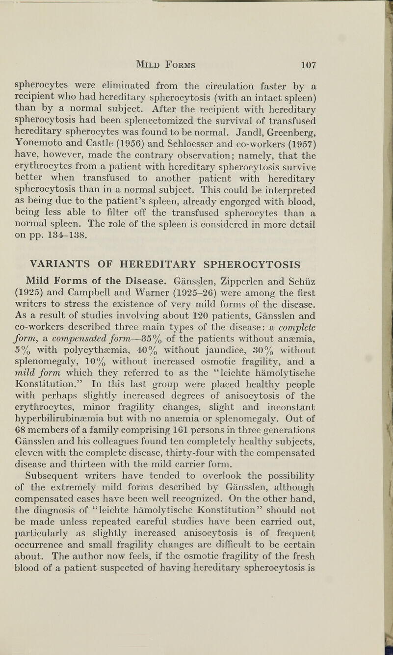 spheroeytes were eliminated from the circulation faster by a recipient who had hereditary spherocytosis (with an intact spleen) than by a normal subject. After the recipient with hereditary spherocytosis had been splenectomized the survival of transfused hereditary spheroeytes was found to be normal. Jandl, Greenberg, Yonemoto and Castle (1956) and Schloesser and co-workers (1957) have, however, made the contrary observation; namely, that the erythrocytes from a patient with hereditary spherocytosis survive better when transfused to another patient with hereditary spherocytosis than in a normal subject. This could be interpreted as being due to the patient’s spleen, already engorged with blood, being less able to filter off the transfused spheroeytes than a normal spleen. The role of the spleen is considered in more detail on pp.134-138. VARIANTS OF HEREDITARY SPHEROCYTOSIS Mild Forms of the Disease. Gänsslen, Zipperlen and Schüz (1925) and Campbell and Warner (1925-26) were among the first writers to stress the existence of very mild forms of the disease. As a result of studies involving about 120 patients, Gänsslen and co-workers described three main types of the disease: a complete form, a compensated form —35% of the patients without anaemia, 5% with polycythaemia, 40% without jaundice, 30% without splenomegaly, 10% without increased osmotic fragility, and a mild form which they referred to as the “leichte hämolytische Konstitution.” In this last group were placed healthy people with perhaps slightly increased degrees of anisocytosis of the erythrocytes, minor fragility changes, slight and inconstant hyperbilirubinaemia but with no anaemia or splenomegaly. Out of 68 members of a family comprising 161 persons in three generations Gänsslen and his colleagues found ten completely healthy subjects, eleven with the complete disease, thirty-four with the compensated disease and thirteen with the mild carrier form. Subsequent writers have tended to overlook the possibility of the extremely mild forms described by Gänsslen, although compensated cases have been well recognized. On the other hand, the diagnosis of “leichte hämolytische Konstitution” should not be made unless repeated careful studies have been carried out, particularly as slightly increased anisocytosis is of frequent occurrence and small fragility changes are difficult to be certain about. The author now feels, if the osmotic fragility of the fresh blood of a patient suspected of having hereditary spherocytosis is
