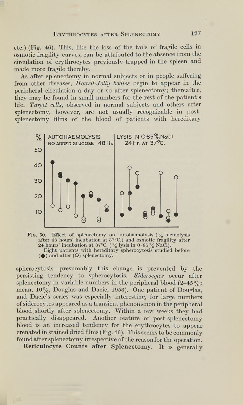 etc.) (Fig. 46). This, like the loss of the tails of fragile cells in osmotic fragility curves, can be attributed to the absence from the circulation of erythrocytes previously trapped in the spleen and made more fragile thereby. As after splenectomy in normal subjects or in people suffering from other diseases, Howell-Joily bodies begin to appear in the peripheral circulation a day or so after splenectomy; thereafter, they may be found in small numbers for the rest of the patient’s life. Target cells, observed in normal subjects and others after splenectomy, however, are not usually recognizable in post splenectomy films of the blood of patients with hereditary % 50 AUTOHAEMOLYSIS LYSIS IN 0-85%NaCI NO ADDED GLUCOSE 48 Hr. 24 Hr. AT 37°C. 40 30 20 IO Fig. 50. Effect of splenectomy on autohaemolysis (% haemolysis after 48 hours’ incubation at 37°C.) and osmotic fragility after 24 hours’ incubation at 37°C. ( % lysis in 0 -85 % NaCl). Eight patients with hereditary spherocytosis studied before (•) and after (O) splenectomy. spherocytosis—presumably this change is prevented by the persisting tendency to spherocytosis. Siderocytes occur after splenectomy in variable numbers in the peripheral blood (2-45%; mean, 10%, Douglas and Dacie, 1953). One patient of Douglas, and Dacie’s series was especially interesting, for large numbers of siderocytes appeared as a transient phenomenon in the peripheral blood shortly after splenectomy. Within a few weeks they had practically disappeared. Another feature of post-splenectomy blood is an increased tendency for the erythrocytes to appear crenated in stained dried films (Fig. 46). This seems to be commonly found after splenectomy irrespective of the reason for the operation. Reticulocyte Counts after Splenectomy. It is generally