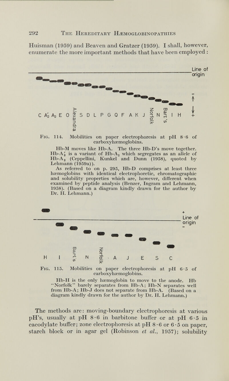 Huisman (1959) and Beaven and Gratzer (1959). I shall, however, enumerate the more important methods that have been employed : Line of 'origin C Aj A 2 E 0 > % 5 0> D CL Z CD DLPGOFAKJ o — U) I + Fig. 114. Mobilities on paper electrophoresis at pH 8-6 of carboxyhaemoglobins. Hb-M moves like Hb-A. The three Hb-D’s move together. Hb-Aj is a variant of Hb-A 2 which segregates as an allele of Hb-A 2 (Ceppellini, Kunkel and Dunn (1958), quoted by Lehmann (1959a)). As referred to on p. 295, Hh-D comprises at least three haemoglobins with identical electrophoretic, chromatographic and solubility properties which are, however, different when examined by peptide analysis (Benzer, Ingram and Lehmann, 1958). (Based on a diagram kindly drawn for the author by Dr. IT. Lehmann.) H I CD P J E Line of origin S C Fig. 115. Mobilities on paper electrophoresis at pH 6-5 of carboxyhaemoglobins. Hb-H is the only haemoglobin to move to the anode. Hb “Norfolk” barely separates from Hb-A; Hb-N separates well from FIb-A; Hb-J does not separate from Hb-A. (Based on a diagram kindly drawn for the author by Dr. H. Lehmann.) The methods are: moving-boundary electrophoresis at various pH’s, usually at pH 8-6 in barbitone buffer or at pH 6-5 in cacodylate buffer; zone electrophoresis at pH 8 • 6 or 6 • 5 on paper, starch block or in agar gel (Robinson et al., 1957); solubility