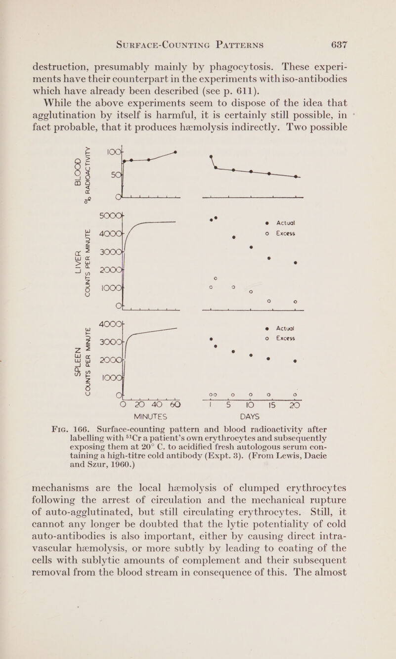 destruction, presumably mainly by phagocytosis. These experi- ments have their counterpart in the experiments with iso-antibodies which have already been described (see p. 611). While the above experiments seem to dispose of the idea that agglutination by itself is harmful, it is certainly still possible, in ° fact probable, that it produces hemolysis indirectly. Two possible is = on 8 a 5° 5 ° e Actual 2 AO r o. Excess Z , a2 3 Wo © 2 | s Sy = ° 3 eee ° OY eee O ‘ % WW 4000 @ Actual 2 3000 r) Oo Excess Zz 2 i e Wty 2000 emer “ an wn Pv z 3 O 00 re) fe) fo) fe) QO 2 40 6 | S) e) 15 20 MINUTES DAYS Fic. 166. Surface-counting pattern and blood radioactivity after labelling with °1Cr a patient’s own erythrocytes and subsequently exposing them at 20° C. to acidified fresh autologous serum con- taining a high-titre cold antibody (Expt. 3). (From Lewis, Dacie and Szur, 1960.) mechanisms are the local hemolysis of clumped erythrocytes following the arrest of circulation and the mechanical rupture of auto-agglutinated, but still circulating erythrocytes. Still, it cannot any longer be doubted that the lytic potentiality of cold auto-antibodies is also important, either by causing direct intra- vascular hzemolysis, or more subtly by leading to coating of the cells with sublytic amounts of complement and their subsequent removal from the blood stream in consequence of this. The almost