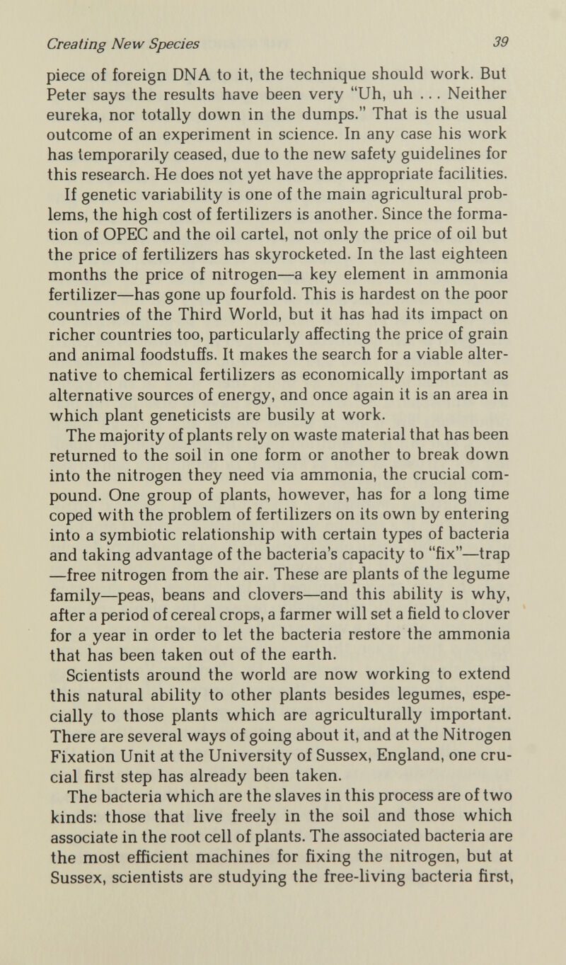 Creating New Species 39 piece of foreign DNA to it, the technique should work. But Peter says the results have been very Uh, uh ... Neither eureka, nor totally down in the dumps. That is the usual outcome of an experiment in science. In any case his work has temporarily ceased, due to the new safety guidelines for this research. He does not yet have the appropriate facilities. If genetic variability is one of the main agricultural prob¬ lems, the high cost of fertilizers is another. Since the forma¬ tion of OPEC and the oil cartel, not only the price of oil but the price of fertilizers has skyrocketed. In the last eighteen months the price of nitrogen—a key element in ammonia fertilizer—has gone up fourfold. This is hardest on the poor countries of the Third World, but it has had its impact on richer countries too, particularly affecting the price of grain and animal foodstuffs. It makes the search for a viable alter¬ native to chemical fertilizers as economically important as alternative sources of energy, and once again it is an area in which plant geneticists are busily at work. The majority of plants rely on waste material that has been returned to the soil in one form or another to break down into the nitrogen they need via ammonia, the crucial com¬ pound. One group of plants, however, has for a long time coped with the problem of fertilizers on its own by entering into a symbiotic relationship with certain types of bacteria and taking advantage of the bacteria's capacity to fix—trap —free nitrogen from the air. These are plants of the legume family—peas, beans and clovers—and this ability is why, after a period of cereal crops, a farmer will set a field to clover for a year in order to let the bacteria restore the ammonia that has been taken out of the earth. Scientists around the world are now working to extend this natural ability to other plants besides legumes, espe¬ cially to those plants which are agriculturally important. There are several ways of going about it, and at the Nitrogen Fixation Unit at the University of Sussex, England, one cru¬ cial first step has already been taken. The bacteria which are the slaves in this process are of two kinds: those that live freely in the soil and those which associate in the root cell of plants. The associated bacteria are the most efficient machines for fixing the nitrogen, but at Sussex, scientists are studying the free-living bacteria first.