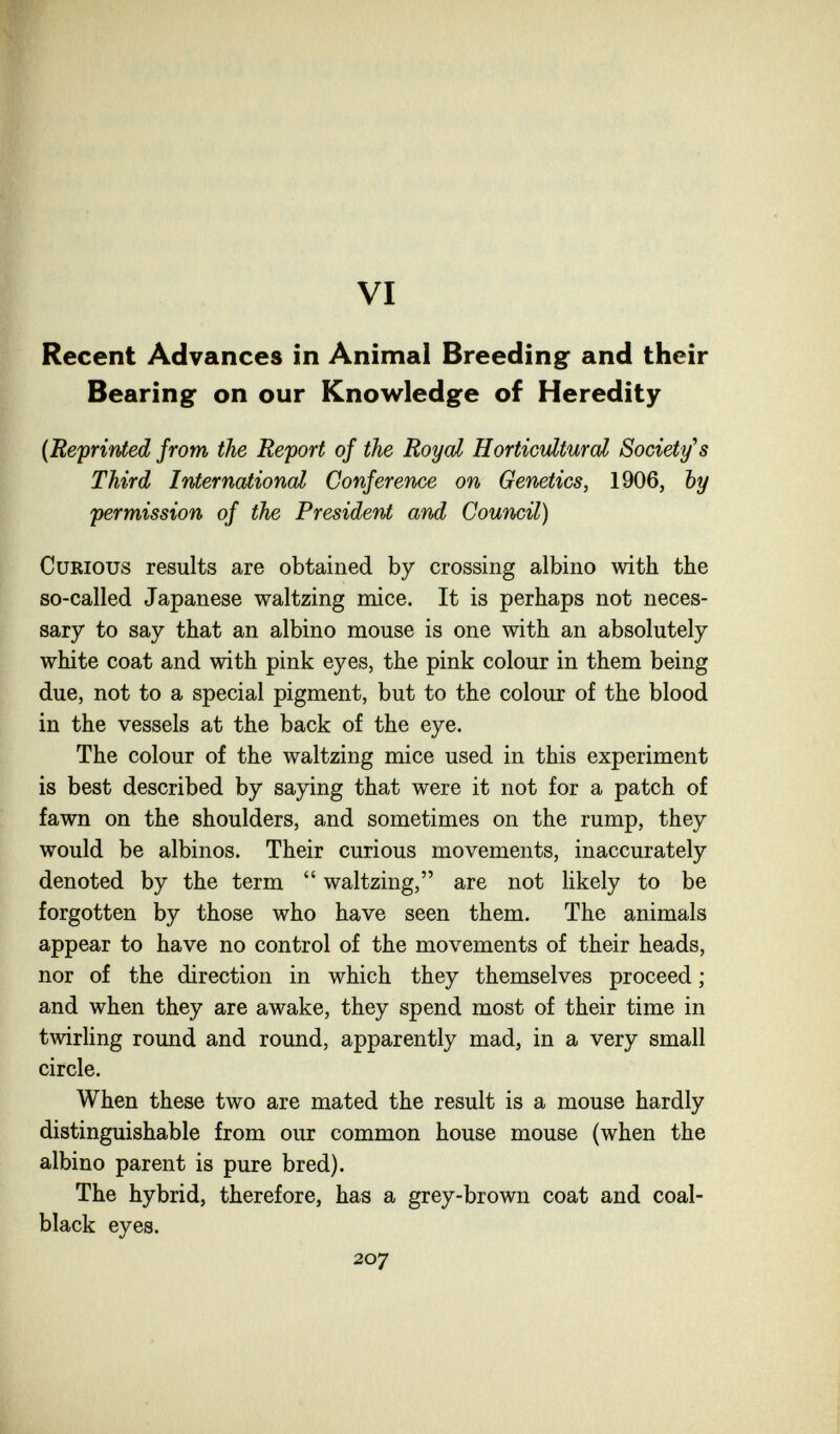 VI Recent Advances in Animal Breeding and their Bearing on our Knowledge of Heredity {Reprinted from the Report of the Royal Horticultural Society's Third International Conference on Genetics, 1906, by permission of the President and Council) Curious results are obtained by crossing albino with the so-called Japanese waltzing mice. It is perhaps not neces¬ sary to say that an albino mouse is one with an absolutely white coat and with pink eyes, the pink colour in them being due, not to a special pigment, but to the colour of the blood in the vessels at the back of the eye. The colour of the waltzing mice used in this experiment is best described by saying that were it not for a patch of fawn on the shoulders, and sometimes on the rump, they would be albinos. Their curious movements, inaccurately denoted by the term  waltzing, are not likely to be forgotten by those who have seen them. The animals appear to have no control of the movements of their heads, nor of the direction in which they themselves proceed ; and when they are awake, they spend most of their time in twirling round and round, apparently mad, in a very small circle. When these two are mated the result is a mouse hardly distinguishable from our common house mouse (when the albino parent is pure bred). The hybrid, therefore, has a grey-brown coat and coal- black eyes. 207