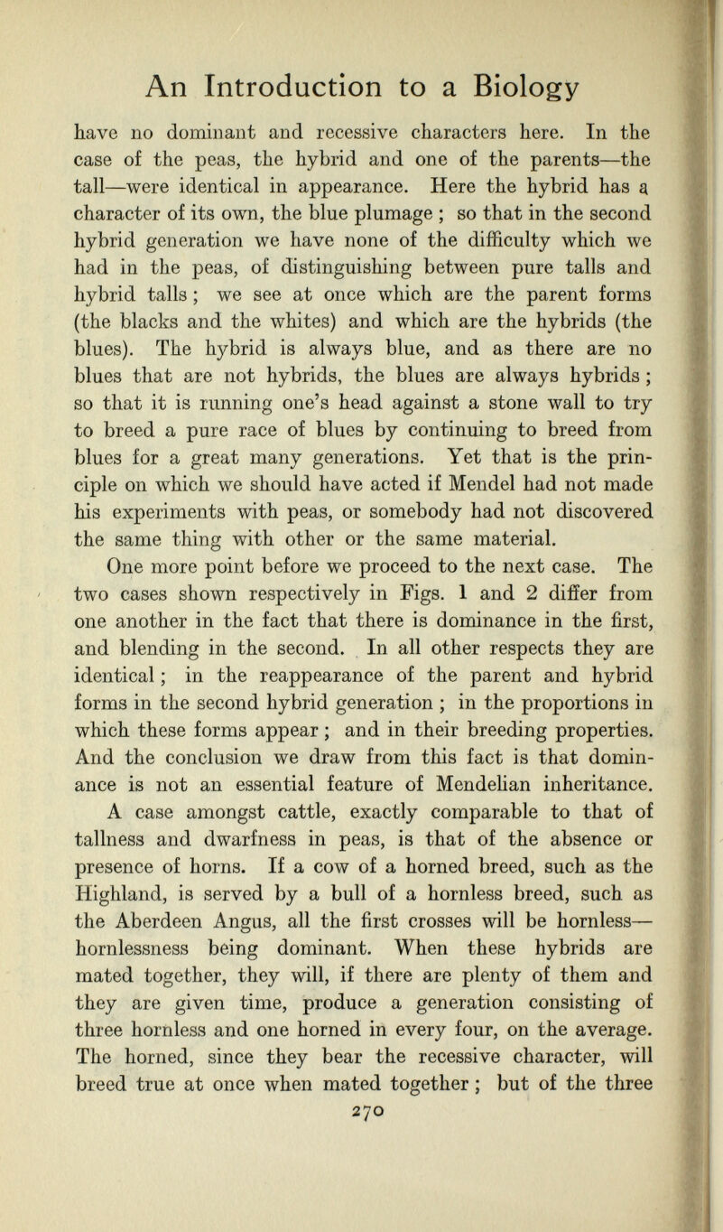 An Introduction to a Biology have no dominant and recessive characters here. In the case of the peas, the hybrid and one of the parents—the tall—were identical in appearance. Here the hybrid has a character of its own, the blue plumage ; so that in the second hybrid generation we have none of the difficulty which we had in the peas, of distinguishing between pure talis and hybrid tails ; we see at once which are the parent forms (the blacks and the whites) and which are the hybrids (the blues). The hybrid is always blue, and as there are no blues that are not hybrids, the blues are always hybrids ; so that it is running one's head against a stone wall to try to breed a pure race of blues by continuing to breed from blues for a great many generations. Yet that is the prin¬ ciple on which we should have acted if Mendel had not made his experiments with peas, or somebody had not discovered the same thing with other or the same material. One more point before we proceed to the next case. The two cases shown respectively in Figs. 1 and 2 differ from one another in the fact that there is dominance in the first, and blending in the second. In all other respects they are identical ; in the reappearance of the parent and hybrid forms in the second hybrid generation ; in the proportions in which these forms appear ; and in their breeding properties. And the conclusion we draw from this fact is that domin¬ ance is not an essential feature of Mendehan inheritance. A case amongst cattle, exactly comparable to that of tallness and dwarfness in peas, is that of the absence or presence of horns. If a cow of a horned breed, such as the Highland, is served by a bull of a hornless breed, such as the Aberdeen Angus, all the first crosses will be hornless— hornlessness being dominant. When these hybrids are mated together, they will, if there are plenty of them and they are given time, produce a generation consisting of three hornless and one horned in every four, on the average. The horned, since they bear the recessive character, will breed true at once when mated together ; but of the three 270