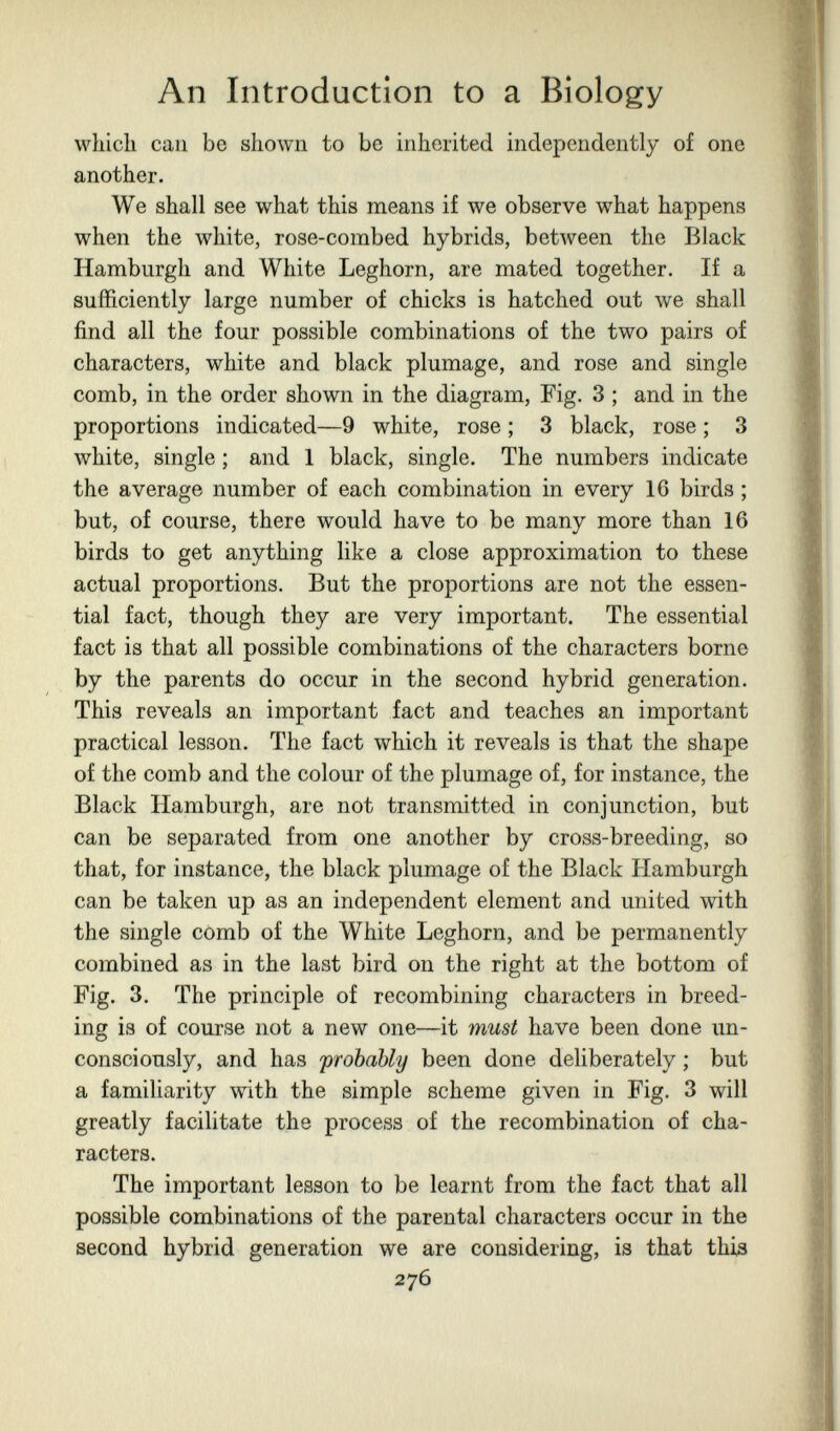 An Introduction to a Biology which can be shown to be inherited independently of one another. We shall see what this means if we observe what happens when the white, rose-combed hybrids, between the Black Hamburgh and White Leghorn, are mated together. If a sufficiently large number of chicks is hatched out we shall find all the four possible combinations of the two pairs of characters, white and black plumage, and rose and single comb, in the order shown in the diagram. Fig. 3 ; and in the proportions indicated—9 white, rose ; 3 black, rose ; 3 white, single ; and 1 black, single. The numbers indicate the average number of each combination in every 16 birds ; but, of course, there would have to be many more than 16 birds to get anything like a close approximation to these actual proportions. But the proportions are not the essen¬ tial fact, though they are very important. The essential fact is that all possible combinations of the characters borne by the parents do occur in the second hybrid generation. This reveals an important fact and teaches an important practical lesson. The fact which it reveals is that the shape of the comb and the colour of the plumage of, for instance, the Black Hamburgh, are not transmitted in conjunction, but can be separated from one another by cross-breeding, so that, for instance, the black plumage of the Black Hamburgh can be taken up as an independent element and united with the single comb of the White Leghorn, and be permanently combined as in the last bird on the right at the bottom of Fig. 3. The principle of recombining characters in breed¬ ing is of course not a new one—it must have been done un¬ consciously, and has probably been done deliberately ; but a familiarity with the simple scheme given in Fig. 3 will greatly facilitate the process of the recombination of cha¬ racters. The important lesson to be learnt from the fact that all possible combinations of the parental characters occur in the second hybrid generation we are considering, is that this 276