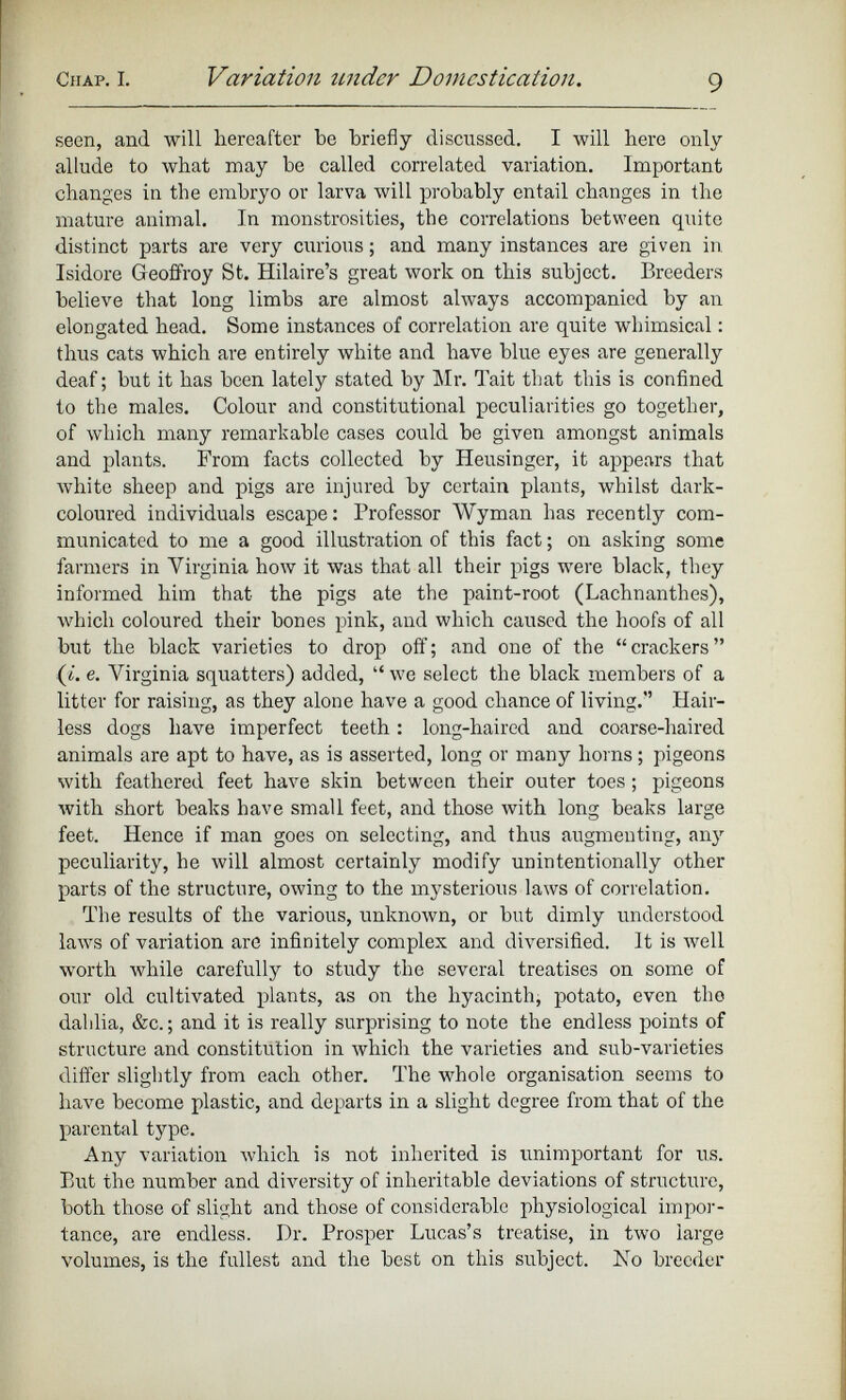 seen, and will hereafter be briefly discussed. I will here only allude to what may be called correlated variation. Important changes in the embryo or larva will probably entail changes in the mature animal. In monstrosities, the correlations between quite distinct parts are very curious; and many instances are given in Isidore Geoffroy St. Hilaire’s great work on this subject. Breeders believe that long limbs are almost always accompanied by an elongated head. Some instances of correlation are quite whimsical: thus cats which are entirely white and have blue eyes are generally deaf; but it has been lately stated by Mr. Tait that this is confined to the males. Colour and constitutional peculiarities go together, of which many remarkable cases could be given amongst animals and plants. From facts collected by Heusinger, it appears that white sheep and pigs are injured by certain plants, whilst dark- coloured individuals escape: Professor Wyman has recently com municated to me a good illustration of this fact; on asking some farmers in Virginia how it was that all their pigs were black, they informed him that the pigs ate the paint-root (Lachnanthes), which coloured their bones pink, and which caused the hoofs of all but the black varieties to drop off; and one of the “crackers” (¿. e. Virginia squatters) added, “ we select the black members of a litter for raising, as they alone have a good chance of living.” Hair less dogs have imperfect teeth: long-haired and coarse-haired animals are apt to have, as is asserted, long or many horns ; pigeons with feathered feet have skin between their outer toes ; pigeons with short beaks have small feet, and those with long beaks large feet. Hence if man goes on selecting, and thus augmenting, any peculiarity, he will almost certainly modify unintentionally other parts of the structure, owing to the mysterious laws of correlation. The results of the various, unknown, or but dimly understood laws of variation are infinitely complex and diversified. It is well worth while carefully to study the several treatises on some of our old cultivated plants, as on the hyacinth, potato, even the dahlia, &c.; and it is really surprising to note the endless points of structure and constitution in which the varieties and sub-varieties differ slightly from each other. The whole organisation seems to have become plastic, and departs in a slight degree from that of the parental type. Any variation which is not inherited is unimportant for us. But the number and diversity of inheritable deviations of structure, both those of slight and those of considerable physiological impor tance, are endless. Dr. Prosper Lucas’s treatise, in two large volumes, is the fullest and the best on this subject. No breeder