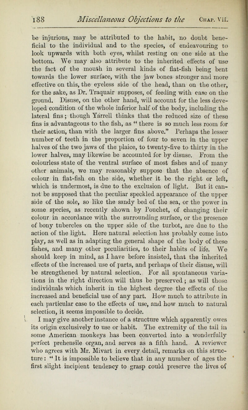 be injurious, may be attributed to the habit, no doubt bene ficial to the individual and to the species, of endeavouring to look upwards with both eyes, whilst resting on one side at the bottom. We may also attribute to the inherited effects of use the fact of the mouth in several kinds of flat-fish being bent towards the lower surface, with the jaw bones stronger and more effective on this, the eyeless side of the head, than on the other, for the sake, as Dr. Traquair supposes, of feeding with ease on the ground. Disuse, on the other hand, will account for the less deve loped condition of the whole inferior half of the body, including the lateral fins; though Yarrell thinks that the reduced size of these fins is advantageous to the fish, as “ there is so much less room for their action, than with the larger fins above.” Perhaps the lesser number of teeth in the proportion of four to seven in the upper halves of the two jaws of the plaice, to twenty-five to thirty in the lower halves, may likewise be accounted for by disuse. Prom the colourless state of the ventral surface of most fishes and of many other animals, we may reasonably suppose that the absence of colour in flat-fish on the side, whether it be the right or left, which is undermost, is due to the exclusion of light. But it can not be supposed that the peculiar speckled appearance of the upper side of the sole, so like the sandy bed of the sea, or the power in some species, as recently shown by Pouchet, of changing their colour in accordance with the surrounding surface, or the presence of bony tubercles on the upper side of the turbot, are due to the action of the light. Here natural selection has probably come into play, as well as in adapting the general shape of the body of these lishes, and many other peculiarities, to their habits of life. We should keep in mind, as I have before insisted, that the inherited effects of the increased use of parts, and perhaps of their disuse, will be strengthened by natural selection. For all spontaneous varia tions in the right direction will thus be preserved ; as will those individuals which inherit in the highest degree the effects of the increased and beneficial use of any part. How much to attribute in each particular case to the effects of use, and how much to natural selection, it seems impossible to decide. I may give another instance of a structure which apparently owes its origin exclusively to use or habit. The extremity of the tail in some American monkeys has been converted into a wonderfully perfect prehensile organ, and serves as a fifth hand. A reviewer who agrees with Mr. Mivart in every detail, remarks on this struc ture : “ It is impossible to believe that in any number of ages the first slight incipient tendency to grasp could preserve the lives of