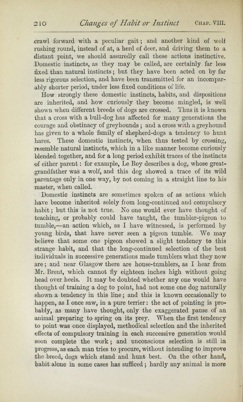 210 Changes of Habit or Instinct Chap. viii. crawl forward with a peculiar gait; and another kind of wolf rushing round, instead of at, a herd of deer, and driving them to a distant point, we should assuredly call these actions instinctive. Domestic instincts, as they may be called, are certainly far less fixed than natural instincts; but they have been acted on by far less rigorous selection, and have been transmitted for an incompar ably shorter period, under less fixed conditions of life. How strongly these domestic instincts, habits, and dispositions are inherited, and how curiously they become mingled, is well shown when different breeds of dogs are crossed. Thus it is known that a cross with a bull-dog has affected for many generations the courage and obstinacy of greyhounds ; and a cross with a greyhound has given to a whole family of shepherd-dogs a tendency to hunt hares. These domestic instincts, when thus tested by crossing, resemble natural instincts, which in a like manner become curiously blended together, and for a long period exhibit traces of the instincts of either parent: for example, Le Roy describes a dog, whose great grandfather was a wolf, and this dog showed a trace of its wild parentage only in one way, by not coming in a straight line to his master, when called. Domestic instincts are sometimes spoken of as actions which have become inherited solely from long-continued and compulsory habit; but this is not true. No one would ever have thought of teaching, or probably could have taught, the tumbler-pigeon to tumble,—an action which, as I have witnessed, is performed by young birds, that have never seen a pigeon tumble. We may believe that some one pigeon showed a slight tendency to this strange habit, and that the long-continued selection of the best individuals in successive generations made tumblers what they now are; and near Glasgow there are house-tumblers, as I hear from Mr. Brent, which cannot fly eighteen inches high without going head over heels. It may be doubted whether any one would have thought of training a dog to point, had not some one dog naturally shown a tendency in this line; and this is known occasionally to happen, as I once saw, in a pure terrier: the act of pointing is pro bably, as many have thought, only the exaggerated pause of an animal preparing to spring on its prey. When the first tendency to point was once displayed, methodical selection and the inherited effects of compulsory training in each successive generation would soon complete the work; and unconscious selection is still in progress, as each man tries to procure, without intending to improve the breed, dogs which stand and hunt best. On the other hand, habit alone in some cases has sufficed ; hardly any animal is more