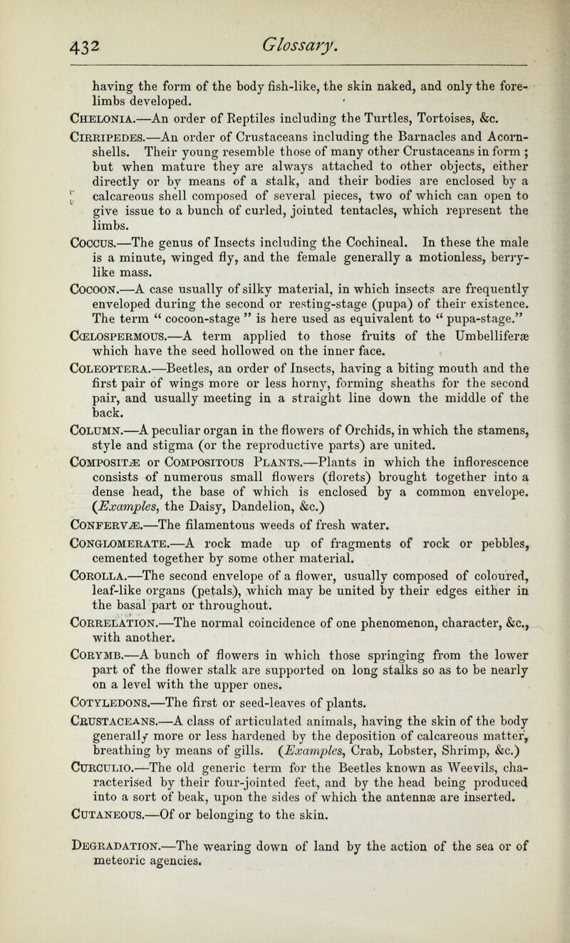 having the form of the body fish-like, the skin naked, and only the fore limbs developed. Chelonia. —An order of Reptiles including the Turtles, Tortoises, &c. Cirripedes. —An order of Crustaceans including the Barnacles and Acorn- shells. Their young resemble those of many other Crustaceans in form ; but when mature they are always attached to other objects, either directly or by means of a stalk, and their bodies are enclosed by a calcareous shell composed of several pieces, two of which can open to give issue to a bunch of curled, jointed tentacles, which represent the limbs. Coccus. —The genus of Insects including the Cochineal. In these the male is a minute, winged fly, and the female generally a motionless, berry like mass. Cocoon. —A case usually of silky material, in which insects are frequently enveloped during the second or resting-stage (pupa) of their existence. The term “ cocoon-stage ” is here used as equivalent to “ pupa-stage.” Coelospermous. —A term applied to those fruits of the Umbelliferae which have the seed hollowed on the inner face. COLEOPTERA. —Beetles, an order of Insects, having a biting mouth and the first pair of wings more or less horny, forming sheaths for the second pair, and usually meeting in a straight line down the middle of the back. Column. —A peculiar organ in the flowers of Orchids, in which the stamens, style and stigma (or the reproductive parts) are united. Composite: or Compositous Plants. —Plants in which the inflorescence consists of numerous small flowers (florets) brought together into a dense head, the base of which is enclosed by a common envelope. (Examples, the Daisy, Dandelion, &c.) Confervas. —The filamentous weeds of fresh water. Conglomerate. —A rock made up of fragments of rock or pebbles, cemented together by some other material. Corolla. —The second envelope of a flower, usually composed of coloured, leaf-like organs (petals), which may be united by their edges either in the basal part or throughout. Correlation. —The normal coincidence of one phenomenon, character, &c., with another. Corymb. —A bunch of flowers in which those springing from the lower part of the flower stalk are supported on long stalks so as to be nearly on a level with the upper ones. Cotyledons. —The first or seed-leaves of plants. Crustaceans.— A class of articulated animals, having the skin of the body generally more or less hardened by the deposition of calcareous matter, breathing by means of gills. ( Examples , Crab, Lobster, Shrimp, &c.) CuRCULiO. —The old generic term for the Beetles known as Weevils, cha racterised by their four-jointed feet, and by the head being produced into a sort of beak, upon the sides of which the antennae are inserted. Cutaneous. —Of or belonging to the skin. Degradation. —The wearing down of land by the action of the sea or of meteoric agencies.