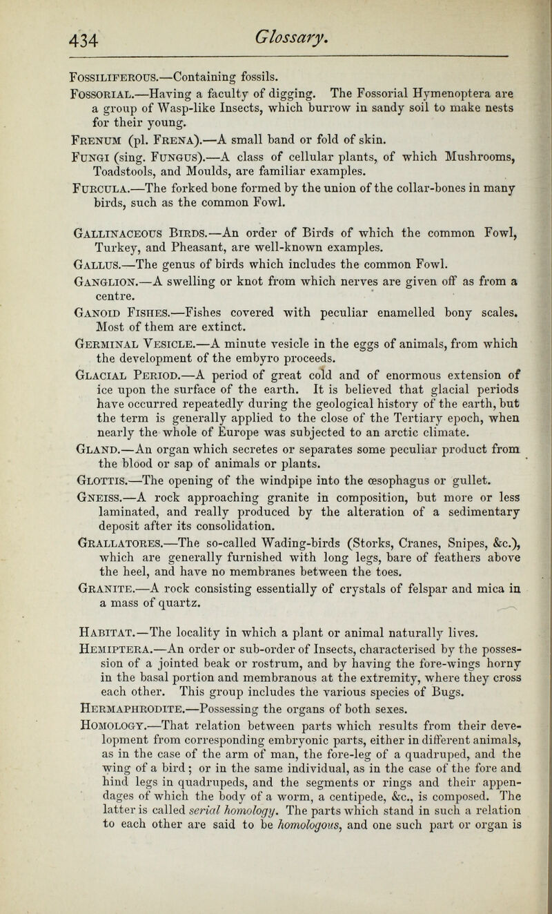 Fossiliferous. —Containing fossils. Fossorial. —Having a faculty of digging. The Fossorial Hymenoptera are a group of Wasp-like Insects, which burrow in sandy soil to make nests for their young. Frenum (pi. Frena). —A small band or fold of skin. Fungi (sing. Fungus). —A class of cellular plants, of which Mushrooms, Toadstools, and Moulds, are familiar examples. Furcula.—T he forked bone formed by the union of the collar-bones in many birds, such as the common Fowl. Gallinaceous Birds. —An order of Birds of which the common Fowl, Turkey, and Pheasant, are well-known examples. Gallus. —The genus of birds which includes the common Fowl. Ganglion. —A swelling or knot from which nerves are given off as from a centre. Ganoid Fishes. —Fishes covered with peculiar enamelled bony scales. Most of them are extinct. Germinal Vesicle. —A minute vesicle in the eggs of animals, from which the development of the embyro proceeds. Glacial Period. —A period of great cold and of enormous extension of ice upon the surface of the earth. It is believed that glacial periods have occurred repeatedly during the geological history of the earth, but the term is generally applied to the close of the Tertiary epoch, when nearly the whole of Europe was subjected to an arctic climate. Gland. —An organ which secretes or separates some peculiar product from the blood or sap of animals or plants. Glottis. —The opening of the windpipe into the oesophagus or gullet. Gneiss. —A rock approaching granite in composition, but more or less laminated, and really produced by the alteration of a sedimentary deposit after its consolidation. Grallatores. —The so-called Wading-birds (Storks, Cranes, Snipes, &c.), which are generally furnished with long legs, bare of feathers above the heel, and have no membranes between the toes. Granite. —A rock consisting essentially of crystals of felspar and mica in a mass of quartz. Habitat. —The locality in which a plant or animal naturally lives. Hemiptera. —An order or sub-order of Insects, characterised by the posses sion of a jointed beak or rostrum, and by having the fore-wings horny in the basal portion and membranous at the extremity, where they cross each other. This group includes the various species of Bugs. Hermaphrodite. —Possessing the organs of both sexes. Homology. —That relation between parts which results from their deve lopment from corresponding embryonic parts, either in different animals, as in the case of the arm of man, the fore-leg of a quadruped, and the wing of a bird; or in the same individual, as in the case of the fore and hind legs in quadrupeds, and the segments or rings and their appen dages of which the body of a worm, a centipede, &c., is composed. The latter is called serial homology. The parts which stand in such a relation to each other are said to be homologous, and one such part or organ is