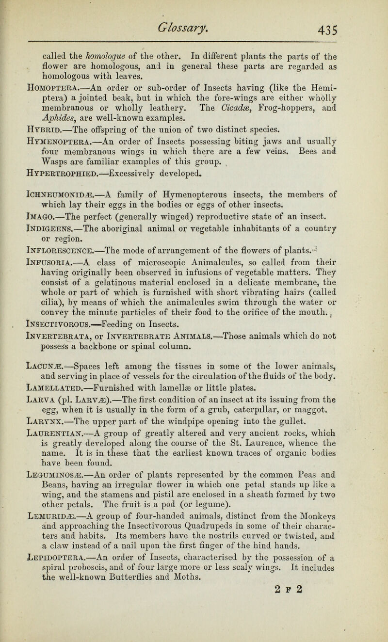called the homologue of the other. In different plants the parts of the flower are homologous, and in general these parts are regarded as homologous with leaves. Homoptera. —An order or sub-order of Insects having (like the Hemi- ptera) a jointed beak, but in which the fore-wings are either wholly membranous or wholly leathery. The Cicadx, Frog-hoppers, and Aphides, are well-known examples. Hybrid. —The offspring of the union of two distinct species. Hymenoptera. —An order of Insects possessing biting jaws and usually four membranous wings in which there are a few veins. Bees and Wasps are familiar examples of this group. Hypertrophied. —Excessively developed. Ichneumonidae. —A family of Hymenopterous insects, the members of which lay their eggs in the bodies or eggs of other insects. Imago. —The perfect (generally winged) reproductive state of an insect. Indigeens. —The aboriginal animal or vegetable inhabitants of a country or region. Inflorescence. —The mode of arrangement of the flowers of plants.- Infusoria. —A class of microscopic Animalcules, so called from their having originally been observed iu infusions of vegetable matters. They consist of a gelatinous material enclosed in a delicate membrane, the whole or part of which is furnished with short vibrating hairs (called cilia), by means of which the animalcules swim through the water or convey the minute particles of their food to the orifice of the mouth., Insectivorous. —Feeding on Insects. Invertebrata, or Invertebrate Animals. —Those animals which do not possess a backbone or spinal column. Lacuna. —Spaces left among the tissues in some of the lower animals, and serving in place of vessels for the circulation of the fluids of the body. Lamellated. —Furnished with lamellae or little plates. Larva (pi. Larvae). —The first condition of an insect at its issuing from the egg, when it is usually in the form of a grub, caterpillar, or maggot. Larynx. —The upper part of the windpipe opening into the gullet. Laurentian. —A group of greatly altered and very ancient rocks, which is greatly developed along the course of the St. Laurence, whence the name. It is in these that the earliest known traces of organic bodies have been found. Leguminos^e. —An order of plants represented by the common Peas and Beans, having an irregular flower in which one petal stands up like a wing, and the stamens and pistil are enclosed in a sheath formed by two other petals. The fruit is a pod (or legume). Lemuridae. —A group of four-handed animals, distinct from the Monkeys and approaching the Insectivorous Quadrupeds in some of their charac ters and habits. Its members have the nostrils curved or twisted, and a claw instead of a nail upon the first finger of the hind hands. Lepidoptera.—A n order of Insects, characterised by the possession of a spiral proboscis, and of four large more or less scaly wings. It includes the well-known Butterflies and Moths. 2 P 2