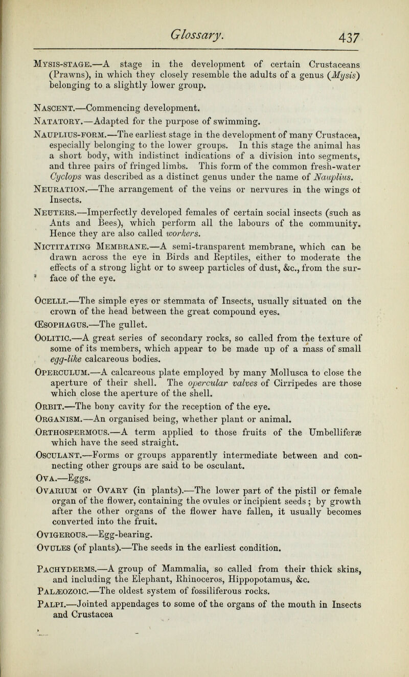Mysis-STAGE. —A stage in the development of certain Crustaceans (Prawns), in which they closely resemble the adults of a genus (1iysis) belonging to a slightly lower group. N ASCENT. —Commencing development. Natatory.—A dapted for the purpose of swimming. Nauplius-form. —The earliest stage in the development of many Crustacea, especially belonging to the lower groups. In this stage the animal has a short body, with indistinct indications of a division into segments, and three pairs of fringed limbs. This form of the common fresh-water Cyclops was described as a distinct genus under the name of Nauplius. Neuration. —The arrangement of the veins or nervures in the wings ot Insects. Neuters. —Imperfectly developed females of certain social insects (such as Ants and Bees), which perform all the labours of the community. Hence they are also called workers. Nictitating Membrane. —A semi-transparent membrane, which can be drawn across the eye in Birds and Reptiles, either to moderate the effects of a strong light or to sweep particles of dust, &c., from the sur- a face of the eye. Ocelli. —The simple eyes or stemmata of Insects, usually situated on the crown of the head between the great compound eyes. (Esophagus. —The gullet. Oolitic. —A great series of secondary rocks, so called from the texture of some of its members, which appear to be made up of a mass of small egg-like calcareous bodies. Operculum. —A calcareous plate employed by many Mollusca to close the aperture of their shell. The opercular valves of Cirripedes are those which close the aperture of the shell. Orbit. —The bony cavity for the reception of the eye. Organism. —An organised being, whether plant or animal. Orthospermous. —A term applied to those fruits of the Umbelliferse which have the seed straight. Osculant. —Forms or groups apparently intermediate between and con necting other groups are said to be osculant. Ova. —Eggs. Ovarium or Ovary (in plants).—The lower part of the pistil or female organ of the flower, containing the ovules or incipient seeds ; by growth after the other organs of the flower have fallen, it usually becomes converted into the fruit. OviGEROUS.—Egg-bearing. Ovules (of plants).—The seeds in the earliest condition. Pachyderms. —A group of Mammalia, so called from their thick skins, and including the Elephant, Rhinoceros, Hippopotamus, &c. Palaeozoic. —The oldest system of fossiliferous rocks. Palpi. —Jointed appendages to some of the organs of the mouth in Insects and Crustacea