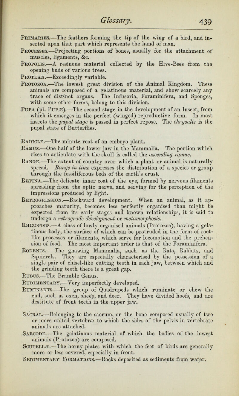Primaries. —The feathers forming the tip of the wing of a bird, and in serted upon that part which represents the hand of man. Processes. —Projecting portions of bones, usually for the attachment of muscles, ligaments, &c. Propolis. —A resinous material collected by the Hive-Bees from the opening buds of various trees. Protean. —Exceedingly variable. Protozoa. —The lowest great division of the Animal Kingdom. These animals are composed of a gelatinous material, and show scarcely any trace of distinct organs. The Infusoria, Foraminifera, and Sponges, with some other forms, belong to this division. Pupa (pi. Pup^e). —The second stage in the development of an Insect, from which it emerges in the perfect (winged) reproductive form. In most insects the pupal stage is passed in perfect repose. The chrysalis is the pupal state of Butterflies. Radicle. —The minute root of an embryo plant. Ramus. —One half of the lower jaw in the Mammalia. The portion which rises to articulate with the skull is called the ascending ramus. Range. —The extent of country over which a plant or animal is naturally spread. Range in time expresses the distribution of a species or group through the fossiliferous beds of the earth’s crust. Retina. —The delicate inner coat of the eye, formed by nervous filaments spreading from the optic nerve, and serving for the perception of the impressions produced by light. Retrogression.— Backward development. When an animal, as it ap proaches maturity, becomes less perfectly organised than might be expected from its early stages and known relationships, it is said to undergo a retrograde development or metamorphosis. Rhizopods. —A class of lowly organised animals (Protozoa), having a gela tinous body, the surface of which can be protruded in the form of root like processes or filaments, which serve for locomotion and the prehen sion of food. The most important order is that of the Foraminifera. Rodents. — The gnawing Mammalia, such as the Rats, Rabbits, and Squirrels. They are especially characterised by the possession of a single pair of chisel-like cutting teeth in each jaw, between which and the grinding teeth there is a great gap. Rubus.— The Bramble Genus. Rudimentary. —Very imperfectly developed. Ruminants. —The group of Quadrupeds which ruminate or chew the cud, such as oxen, sheep, and deer. They have divided hoofs, and are destitute of front teeth in the upper jaw. Sacral. —Belonging to the sacrum, or the bone composed usually of two or more united vertebrae to which the sides of the pelvis in vertebrate animals are attached. Sarcode. —The gelatinous material of which the bodies of the lowest animals (Protozoa) are composed. ScuTELLAi.—The horny plates with which the feet of birds are generally more or less covered, especially in front. Sedimentary Formations.—R ocks deposited as sediments from water.