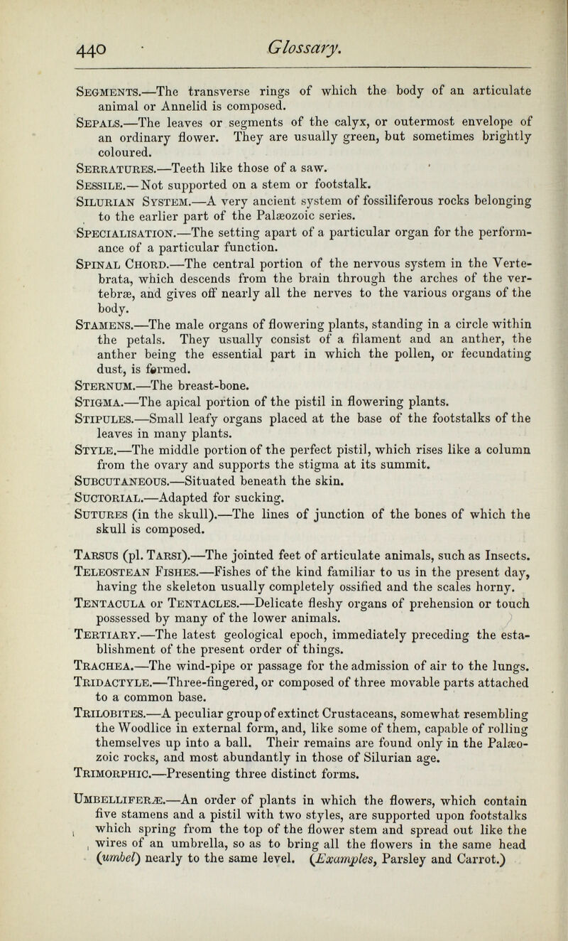 Segments. —The transverse rings of which the body of an articulate animal or Annelid is composed. Sepals. —The leaves or segments of the calyx, or outermost envelope of an ordinary flower. They are usually green, but sometimes brightly coloured. Serratures.—T eeth like those of a saw. Sessile. — Not supported on a stem or footstalk. Silurian System. —A very ancient system of fossiliferous rocks belonging to the earlier part of the Palaeozoic series. Specialisation. —The setting apart of a particular organ for the perform ance of a particular function. Spinal Chord. —The central portion of the nervous system in the Verte- brata, which descends from the brain through the arches of the ver- tebrie, and gives off nearly all the nerves to the various organs of the body. Stamens. —The male organs of flowering plants, standing in a circle within the petals. They usually consist of a filament and an anther, the anther being the essential part in which the pollen, or fecundating dust, is farmed. Sternum. —The breast-bone. Stigma. —The apical portion of the pistil in flowering plants. Stipules. —Small leafy organs placed at the base of the footstalks of the leaves in many plants. Style. —The middle portion of the perfect pistil, which rises like a column from the ovary and supports the stigma at its summit. Subcutaneous. —Situated beneath the skin. Suctorial. —Adapted for sucking. Sutures (in the skull). — The lines of junction of the bones of which the skull is composed. Tarsus (pi. Tarsi). —The jointed feet of articulate animals, such as Insects. Teleostean Fishes. —Fishes of the kind familiar to us in the present day, having the skeleton usually completely ossified and the scales horny. Tentacula or Tentacles. —Delicate fleshy organs of prehension or touch possessed by many of the lower animals. Tertiary.— The latest geological epoch, immediately preceding the esta blishment of the present order of things. Trachea.— The wind-pipe or passage for the admission of air to the lungs. Tridactyle.— Three-fingered, or composed of three movable parts attached to a common base. Trilobites. —A peculiar group of extinct Crustaceans, somewhat resembling the Woodlice in external form, and, like some of them, capable of rolling themselves up into a ball. Their remains are found only in the Palaeo zoic rocks, and most abundantly in those of Silurian age. Trimorphic. —Presenting three distinct forms. Umbelliper^e. —An order of plants in which the flowers, which contain five stamens and a pistil with two styles, are supported upon footstalks , which spring from the top of the flower stem and spread out like the i wires of an umbrella, so as to bring all the flowers in the same head (umbel ) nearly to the same level. (. Examples , Parsley and Carrot.)
