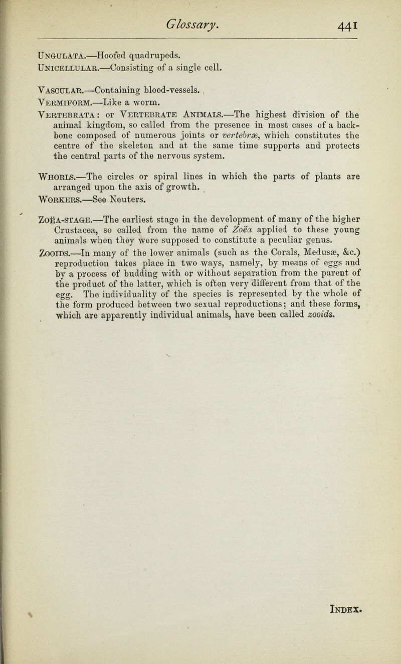 Ungulata. —Hoofed quadrupeds. Unicellular.— Consisting of a single cell. Vascular. —Containing blood-vessels. Vermiform. —Like a worm. Vertebrata: or Vertebrate Animals. —The highest division of the animal kingdom, so called from the presence in most cases of a back bone composed of numerous joints or vertebrae, which constitutes the centre of the skeleton and at the same time supports and protects the central parts of the nervous system. Whorls. —The circles or spiral lines in which the parts of plants are arranged upon the axis of growth. Workers. —See Neuters. ZoèA-STAGE. —The earliest stage in the development of many of the higher Crustacea, so called from the name of Zoéa applied to these young animals when they were supposed to constitute a peculiar genus. Zooids. —In many of the lower animals (such as the Corals, Medusas, &c.) reproduction takes place in two ways, namely, by means of eggs and by a process of budding with or without separation from the parent of the product of the latter, which is often very different from that of the egg. The individuality of the species is represented by the whole of the form produced between two sexual reproductions; and these forms, which are apparently individual animals, have been called zooids. Index.