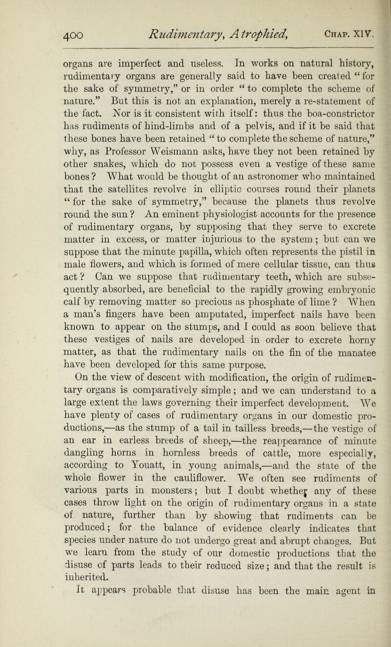 organs are imperfect and useless. In works on natural history, rudimentary organs are generally said to have been created “ for the sake of symmetry,” or in order “ to complete the scheme of nature.” But this is not an explanation, merely a re-statement of the fact. Nor is it consistent with itself: thus the boa-constrictor has rudiments of hind-limbs and of a pelvis, and if it he said that these bones have been retained “ to complete the scheme of nature,” why, as Professor Weismann asks, have they not been retained by other snakes, which do not possess even a vestige of these same bones? What would be thought of an astronomer who maintained that the satellites revolve in elliptic courses round their planets “ for the sake of symmetry,” because the planets thus revolve round the sun ? An eminent physiologist accounts for the presence of rudimentary organs, by supposing that they serve to excrete matter in excess, or matter injurious to the system; but can we suppose that the minute papilla, which often represents the pistil in male flowers, and which is formed of mere cellular tissue, can thus act ? Can we suppose that rudimentary teeth, which are subse quently absorbed, are beneficial to the rapidly growing embryonic calf by removing matter so precious as phosphate of lime ? When a man’s fingers have been amputated, imperfect nails have been known to appear on the stumps, and I could as soon believe that these vestiges of nails are developed in order to excrete horny matter, as that the rudimentary nails on the fin of the manatee have been developed for this same purpose. On the view of descent with modification, the origin of rudimen tary organs is comparatively simple; and we can understand to a large extent the laws governing their imperfect development. We have plenty of cases of rudimentary organs in our domestic pro ductions,—as the stump of a tail in tailless breeds,—the vestige of an ear in earless breeds of sheep,—the reappearance of minute dangling horns in hornless breeds of cattle, more especially, according to Youatt, in young animals,—and the state of the whole flower in the cauliflower. We often see rudiments of various parts in monsters; but I doubt whethej any of these cases throw light on the origin of rudimentary organs in a state of nature, further than by showing that rudiments can be produced; for the balance of evidence clearly indicates that species under nature do not undergo great and abrupt changes. But we learn from the study of our domestic productions that the disuse of parts leads to their reduced size; and that the result is inherited. It appears probable that disuse has been the main agent in