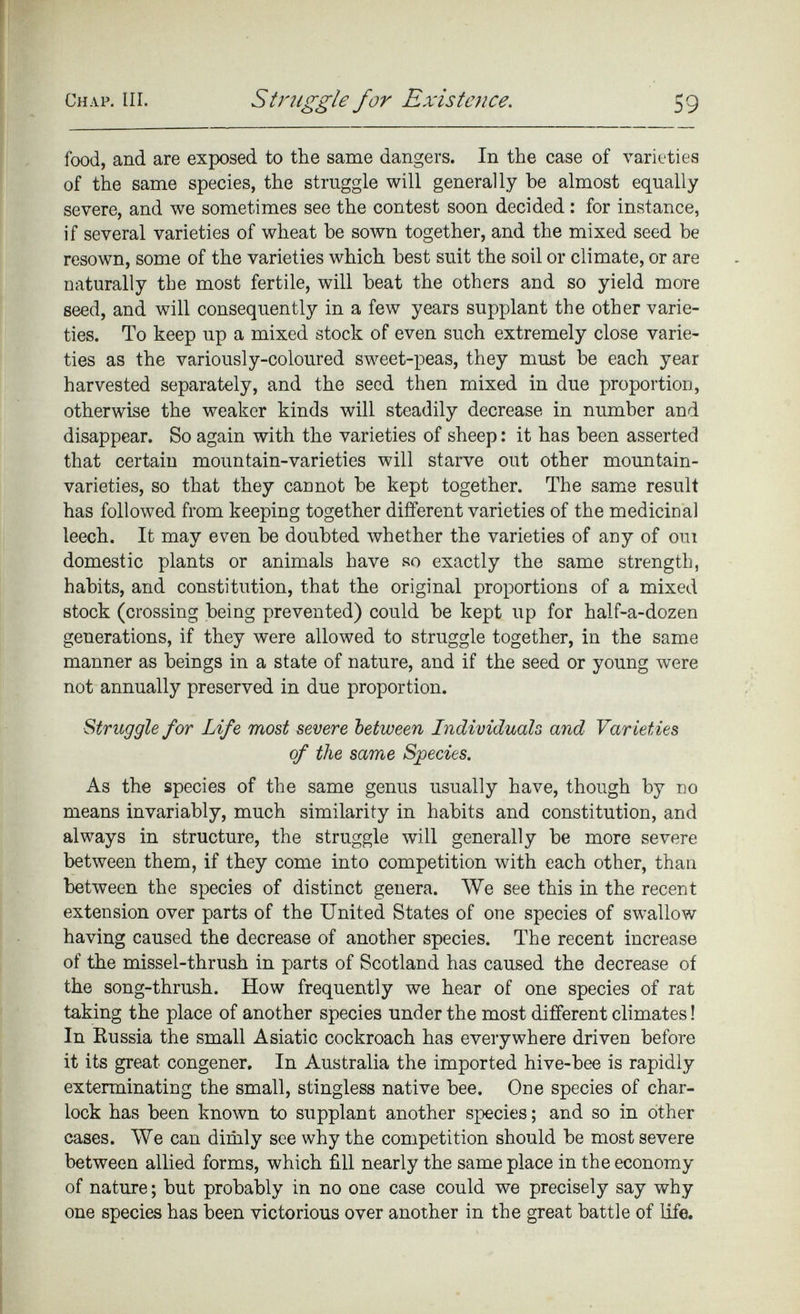 food, and are exposed to the same dangers. In the case of varieties of the same species, the struggle will generally be almost equally severe, and we sometimes see the contest soon decided : for instance, if several varieties of wheat he sown together, and the mixed seed be resown, some of the varieties which best suit the soil or climate, or are naturally the most fertile, will heat the others and so yield more seed, and will consequently in a few years supplant the other varie ties. To keep up a mixed stock of even such extremely close varie ties as the variously-coloured sweet-peas, they must be each year harvested separately, and the seed then mixed in due proportion, otherwise the weaker kinds will steadily decrease in number and disappear. So again with the varieties of sheep: it has been asserted that certain mountain-varieties will starve out other mountain- varieties, so that they cannot he kept together. The same result has followed from keeping together different varieties of the medicinal leech. It may even be doubted whether the varieties of any of out domestic plants or animals have so exactly the same strength, habits, and constitution, that the original proportions of a mixed stock (crossing being prevented) could be kept up for half-a-dozen generations, if they were allowed to struggle together, in the same manner as beings in a state of nature, and if the seed or young were not annually preserved in due proportion. Struggle for Life most severe between Individuals and Varieties of the same Species. As the species of the same genus usually have, though by no means invariably, much similarity in habits and constitution, and always in structure, the struggle will generally be more severe between them, if they come into competition with each other, than between the species of distinct genera. We see this in the recent extension over parts of the United States of one species of swallow having caused the decrease of another species. The recent increase of the missel-thrush in parts of Scotland has caused the decrease of the song-thrush. How frequently we hear of one species of rat taking the place of another species under the most different climates! In Russia the small Asiatic cockroach has everywhere driven before it its great congener. In Australia the imported hive-bee is rapidly exterminating the small, stingless native bee. One species of char lock has been known to supplant another species; and so in other cases. We can dimly see why the competition should be most severe between allied forms, which fill nearly the same place in the economy of nature; but probably in no one case could we precisely say why one species has been victorious over another in the great battle of life.