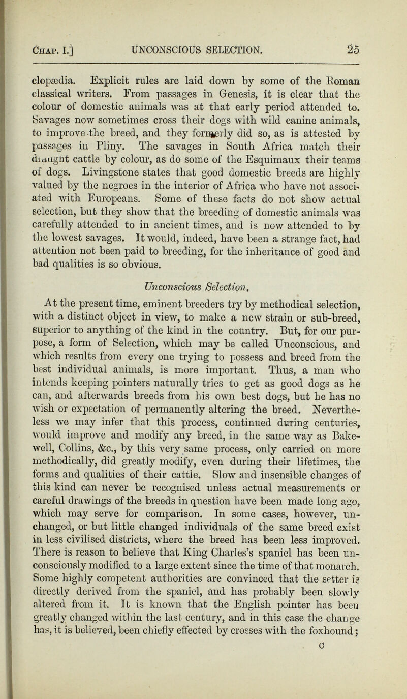 clopa3clia. Explicit rules are laid down by some of the lloman classical writers. From passages in Genesis, it is clear that the colour of domestic animals was at that early period attended to. Savages now sometimes cross their dogs with wild canine animals, to improve the breed, and they fornj^rly did so, as is attested by passages in Pliny. The savages in South Africa match their dutugnt cattle by colour, as do some of the Esquimaux their teams of dogs. Livingstone states that good domestic breeds are highly valued by the negroes in the interior of Africa who have not assoch ated with Europeans. Some of these facts do not show actual selection, but they show that the breeding of domestic animals was carefully attended to in ancient times, and is now attended to by the lowest savages. It would, indeed, have been a strange fact, had attention not been paid to breeding, for the inheritance of good and bad qualities is so obvious. Unconscious Selection. At the present time, eminent breeders try by methodical selection, with a distinct object in view, to make a new strain or sub-breed, superior to anything of the kind in the country. But, for our pur pose, a form of Selection, which may be called Unconscious, and which results from every one trying to possess and breed from the best individual animals, is more important. Thus, a man who intends keeping pointers naturally tries to get as good dogs as he can, and afterwards breeds from his own best dogs, but he has no wish or expectation of permanently altering the breed. Neverthe less we may infer that this process, continued during centuries, would improve and modify any breed, in the same way as Bake- well, Collins, &c., by this very same process, only carried on more methodically, did greatly modify, even during their lifetimes, the forms and qualities of their cattle. Slow and insensible changes of this kind can never be recognised unless actual measurements or careful drawings of the breeds in question have been made long ago, which may serve for comparison. In some cases, however, un changed, or but little changed individuals of the same breed exist in less civilised districts, where the breed has been less improved. There is reason to believe that King Charles’s spaniel has been un consciously modified to a large extent since the time of that monarch. Some highly competent authorities are convinced that the setter i? directly derived from the spaniel, and has probably been slowly altered from it. It is known that the English pointer has been greatly changed within the last century, and in this case the change has, it is believed, been chiefly effected by crosses with the foxhound; C