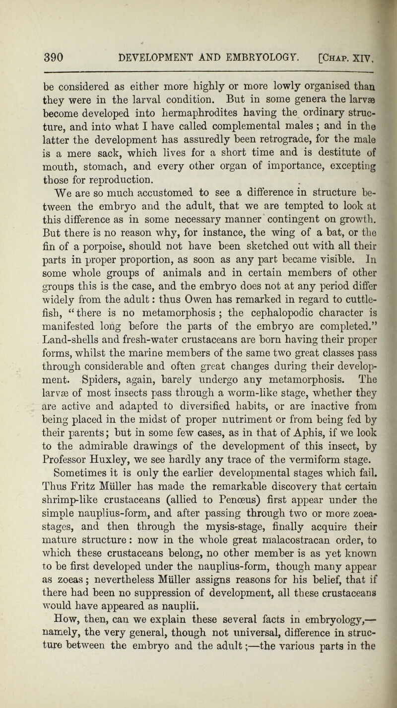 be considered as either more highly or more lowly organised than they were in the larval condition. But in some genera the larvae become developed into hermaphrodites having the ordinary struc ture, and into what I have called complemental males ; and in the latter the development has assuredly been retrograde, for the male is a mere sack, which lives for a short time and is destitute of mouth, stomach, and every other organ of importance, excepting those for reproduction. We are so much accustomed to see a difference in structure be tween the embryo and the adult, that we are tempted to look at this difference as in some necessary manner contingent on growth. But there is no reason why, for instance, the wing of a bat, or the fin of a porpoise, should not have been sketched out with all their parts in proper proportion, as soon as any part became visible. In some whole groups of animals and in certain members of other groups this is the case, and the embryo does not at any period differ widely from the adult : thus Owen has remarked in regard to cuttle fish, “ there is no metamorphosis ; the cephalopodic character is manifested long before the parts of the embryo are completed.” Land-shells and fresh-water crustaceans are born having their proper forms, whilst the marine members of the same two great classes pass through considerable and often great changes during their develop ment. Spiders, again, barely undergo any metamorphosis. The larvæ of most insects pass through a worm-like stage, whether they are active and adapted to diversified habits, or are inactive from being placed in the midst of proper nutriment or from being fed by their parents ; but in some few cases, as in that of Aphis, if we look to the admirable drawings of the development of this insect, by Professor Huxley, we see hardly any trace of the vermiform stage. Sometimes it is only the earlier developmental stages which fail. Thus Fritz Müller has made the remarkable discovery that certain shrimp-like crustaceans (allied to Penceus) first appear under the simple nauplius-form, and after passing through two or more zoea- stagcs, and then through the mysis-stage, finally acquire their mature structure : now in the whole great malacostracan order, to which these crustaceans belong, no other member is as yet known to be first developed under the nauplius-form, though many appear as zoeas ; nevertheless Muller assigns reasons for his belief, that if there had been no suppression of development, all these crustaceans would have appeared as nauplii. How, then, can we explain these several facts in embryology,— namely, the very general, though not universal, difference in struc ture between the embryo and the adult ;—the various parts in the