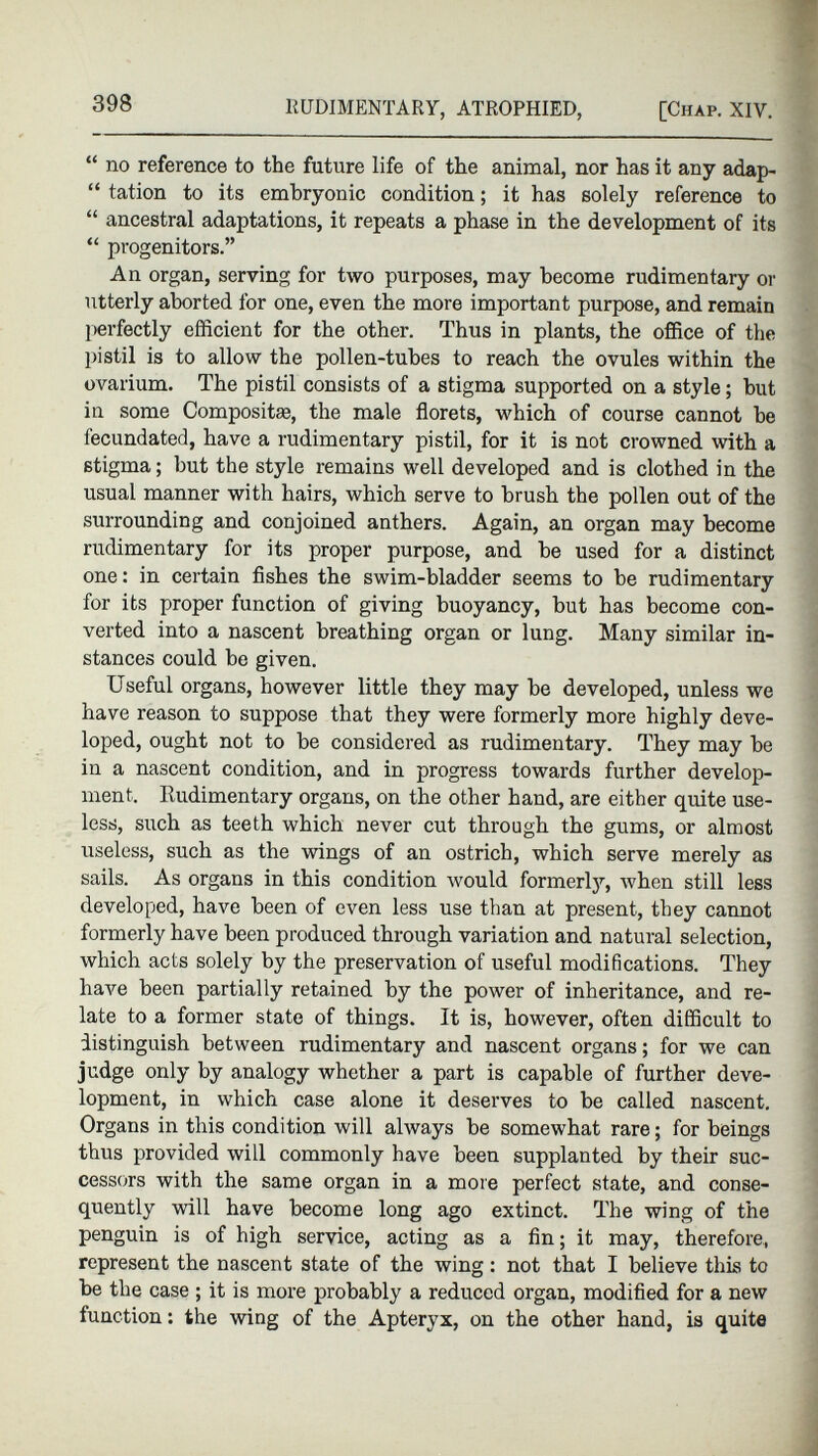 “ no reference to the future life of the animal, nor has it any adap- “ tation to its embryonic condition; it has solely reference to “ ancestral adaptations, it repeats a phase in the development of its “ progenitors.” An organ, serving for two purposes, may become rudimentary or utterly aborted for one, even the more important purpose, and remain perfectly efficient for the other. Thus in plants, the office of the pistil is to allow the pollen-tubes to reach the ovules within the ovarium. The pistil consists of a stigma supported on a style; but in some Composite, the male florets, which of course cannot be fecundated, have a rudimentary pistil, for it is not crowned with a stigma; but the style remains well developed and is clothed in the usual manner with hairs, which serve to brush the pollen out of the surrounding and conjoined anthers. Again, an organ may become rudimentary for its proper purpose, and be used for a distinct one: in certain fishes the swim-bladder seems to be rudimentary for its proper function of giving buoyancy, but has become con verted into a nascent breathing organ or lung. Many similar in stances could be given. Useful organs, however little they may be developed, unless we have reason to suppose that they were formerly more highly deve loped, ought not to be considered as rudimentary. They may be in a nascent condition, and in progress towards further develop ment. Rudimentary organs, on the other hand, are either quite use less, such as teeth which never cut through the gums, or almost useless, such as the wings of an ostrich, which serve merely as sails. As organs in this condition would formerly, when still less developed, have been of even less use than at present, they cannot formerly have been produced through variation and natural selection, which acts solely by the preservation of useful modifications. They have been partially retained by the power of inheritance, and re late to a former state of things. It is, however, often difficult to distinguish between rudimentary and nascent organs; for we can judge only by analogy whether a part is capable of further deve lopment, in which case alone it deserves to be called nascent. Organs in this condition will always be somewhat rare; for beings thus provided will commonly have been supplanted by their suc cessors with the same organ in a more perfect state, and conse quently will have become long ago extinct. The wing of the penguin is of high service, acting as a fin; it may, therefore, represent the nascent state of the wing: not that I believe this to be the case ; it is more probably a reduced organ, modified for a new function: the wing of the Apteryx, on the other hand, is quite