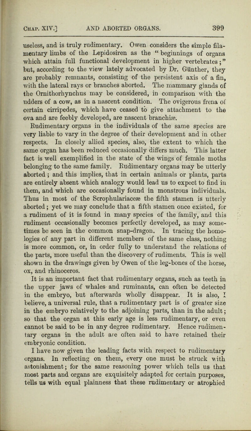 useless, and is truly rudimentary. Owen considers the simple fila mentary limbs of the Lepidosiren as the “ beginnings of organs which attain full functional development in higher vertebrates;” but, according to the view lately advocated by Dr. Gunther, they are probably remnants, consisting of the persistent axis of a fin, with the lateral rays or branches aborted. The mammary glands of the Ornithorhynchus may be considered, in comparison with the udders of a cow, as in a nascent condition. The ovigerous frena of certain cirripedes, which have ceased to give attachment to the ova and are feebly developed, are nascent branchbe. Rudimentary organs in the individuals of the same species are very liable to vary in the degree of their development and in other respects. In closely allied species, also, the extent to which the same organ has been reduced occasionally differs much. This latter fact is well exemplified in the state of the wings of female moths belonging to the same family. Rudimentary organs may be utterly aborted ; and this implies, that in certain animals or plants, parts are entirely absent which analogy w'ould lead us to expect to find in them, and which are occasionally found in monstrous individuals. Thus in most of the Scrophulariaceae the fifth stamen is utterly aborted; yet we may conclude that a fifth stamen once existed, for a rudiment of it is found in many species of the family, and this rudiment occasionally becomes perfectly developed, as may some times be seen in the common snap-dragon. In tracing the homo logies of any part in different members of the same class, nothing is more common, or, in order fully to understand the relations of the parts, more useful than the discovery of rudiments. This is well shown in the drawings given by Owen of the leg-bones of the horse, ox, and rhinoceros. It is an important fact that rudimentary organs, such as teeth in the upper jaws of whales and ruminants, can often be detected in the embryo, but afterwards wholly disappear. It is also, I believe, a universal rule, that a rudimentary part is of greater size in the embryo relatively to the adjoining parts, than in the adult; so that the organ at this early age is less rudimentary, or even cannot be said to be in any degree rudimentary. Hence rudimen tary organs in the adult are often said to have retained their embryonic condition. I have now given the leading facts with respect to rudimentary organs. In reflecting on them, every one must be struck with astonishment; for the same reasoning power which tells us that most parts and organs are exquisitely adapted for certain purposes, tells us with equal plainness that these rudimentary or atrophied