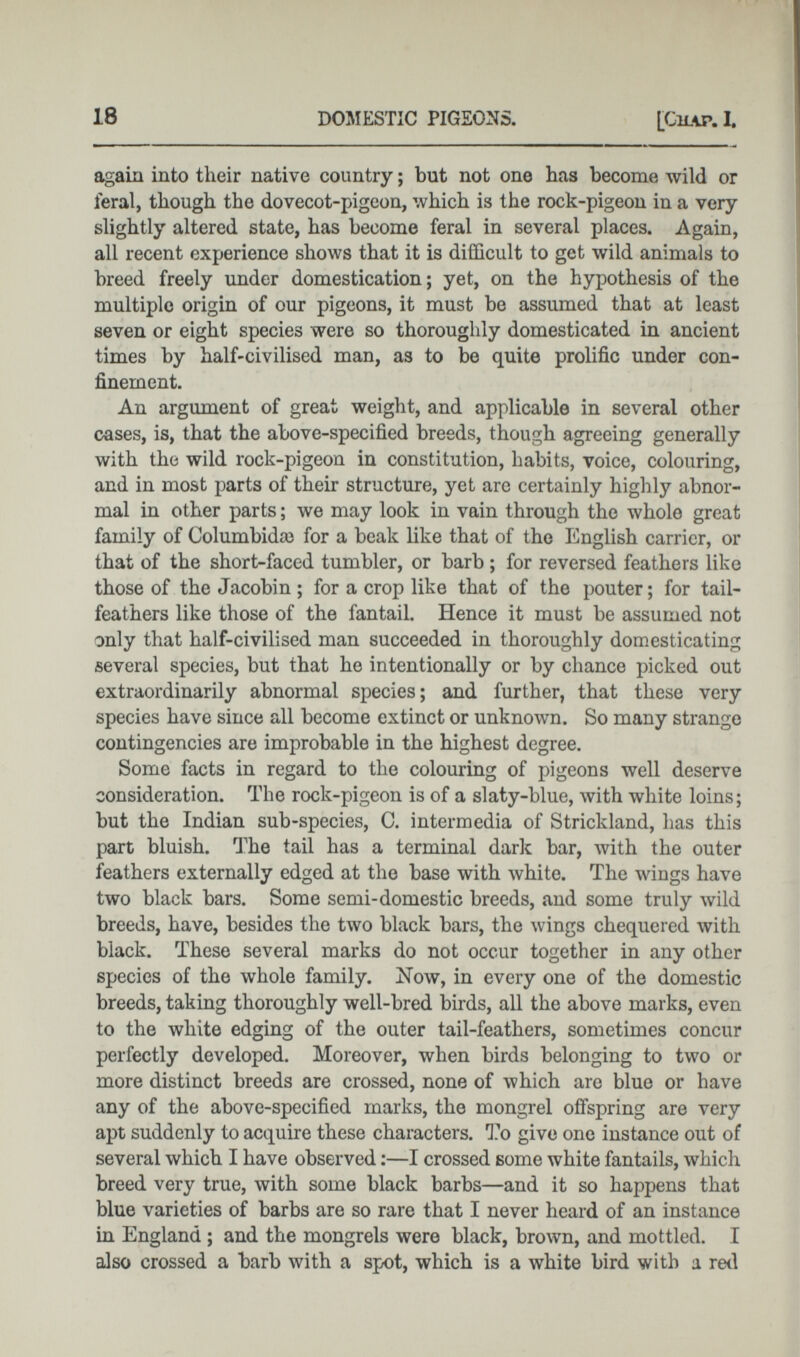 again into tlieir native country; but not one has become wild or feral, though the dovecot-pigeon, which is the rock-pigeon in a very slightly altered state, has become feral in several places. Again, all recent experience shows that it is difficult to get wild animals to breed freely under domestication; yet, on the hypothesis of the multiple origin of our pigeons, it must be assumed that at least seven or eight species were so thoroughly domesticated in ancient times by half-civilised man, as to be quite prolific under con finement. An argument of great weight, and applicable in several other cases, is, that the above-specified breeds, though agreeing generally with the wild rock-pigeon in constitution, habits, voice, colouring, and in most parts of their structure, yet are certainly highly abnor mal in other parts; we may look in vain through the whole great family of Colúmbidas for a beak like that of the English carrier, or that of the short-faced tumbler, or barb ; for reversed feathers like those of the Jacobin ; for a crop like that of the pouter; for tail- feathers like those of the fantail. Hence it must be assumed not only that half-civilised man succeeded in thoroughly domesticating several species, but that he intentionally or by chance picked out extraordinarily abnormal species; and further, that these very species have since all become extinct or unknown. So many strange contingencies are improbable in the highest degree. Some facts in regard to the colouring of pigeons well deserve consideration. The rock-pigeon is of a slaty-blue, with white loins; but the Indian sub-species, C. intermedia of Strickland, has this part bluish. The tail has a terminal dark bar, with the outer feathers externally edged at the base with white. The wings have two black bars. Some semi-domestic breeds, and some truly wild breeds, have, besides the two black bars, the wings chequered with black. These several marks do not occur together in any other species of the whole family. Now, in every one of the domestic breeds, taking thoroughly well-bred birds, all the above marks, even to the white edging of the outer tail-feathers, sometimes concur perfectly developed. Moreover, when birds belonging to two or more distinct breeds are crossed, none of which are blue or have any of the above-specified marks, the mongrel offspring are very apt suddenly to acquire these characters. To give one instance out of several which I have observed:—I crossed some white fantails, which breed very true, with some black barbs—and it so happens that blue varieties of barbs are so rare that I never heard of an instance in England ; and the mongrels were black, brown, and mottled. I also crossed a barb with a spot, which is a white bird with a red
