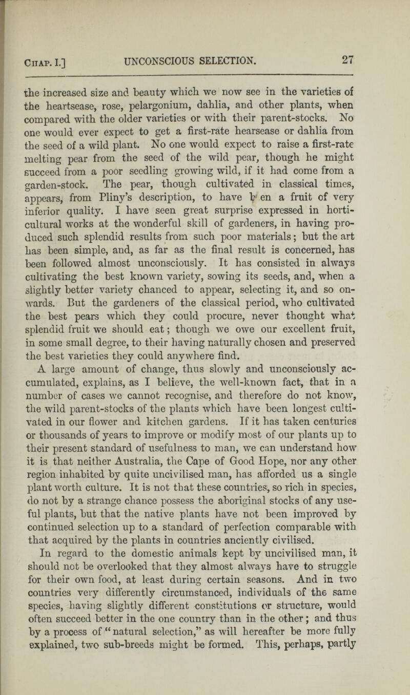 the increased size and beauty which we now see in the varieties of the heartsease, rose, pelargonium, dahlia, and other plants, when compared with the older varieties or with their parent-stocks. No one would ever expect to get a first-rate hearsease or dahlia from the seed of a wild plant. No one would expect to raise a first-rate melting pear from the seed of the wild pear, though he might succeed from a poor seedling growing wild, if it had come from a garden-stock. The pear, though cultivated in classical times, appears, from Pliny’s description, to have b' en a fruit of very inferior quality. I have seen great surprise expressed in horti cultural works at the wonderful skill of gardeners, in having pro duced such splendid results from such poor materials; but the art has been simple, and, as far as the final result is concerned, has been followed almost unconsciously. It has consisted in always cultivating the best known variety, sowing its seeds, and, when a slightly better variety chanced to appear, selecting it, and so on wards. But the gardeners of the classical period, who cultivated the best pears which they could procure, never thought what splendid fruit we should eat; though we owe our excellent fruit, in some small degree, to their having naturally chosen and preserved the best varieties they could anywhere find. A large amount of change, thus slowly and unconsciously ac cumulated, explains, as I believe, the well-known fact, that in a number of cases we cannot recognise, and therefore do not know, the wild parent-stocks of the plants which have been longest culti vated in our flower and kitchen gardens. If it has taken centuries or thousands of years to improve or modify most of our plants up to their present standard of usefulness to man, we can understand how it is that neither Australia, the Cape of Good Hope, nor any other region inhabited by quite uncivilised man, has afforded us a single plant worth culture. It is not that these countries, so rich in species, do not by a strange chance possess the aboriginal stocks of any use ful plants, but that the native plants have not been improved by continued selection up to a standard of perfection comparable with that acquired by the plants in countries anciently civilised. In regard to the domestic animals kept by uncivilised man, it should not be overlooked that they almost always have to struggle for their own food, at least during certain seasons. And in two countries very differently circumstanced, individuals of th6 same species, having slightly different constitutions or structure, would often succeed better in the one country than in the other; and thus by a process of “ natural selection,” as will hereafter be more fully explained, two sub-breeds might be formed. This, perhaps, partly