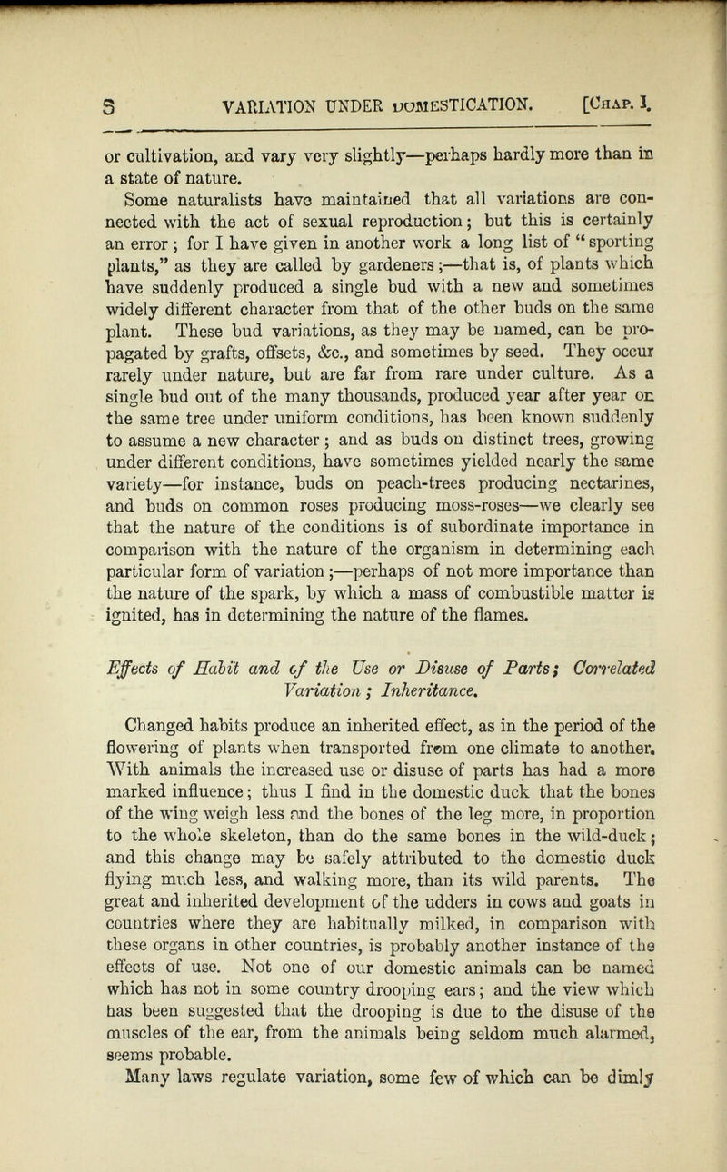 or cultivation, and vary very slightly—perhaps hardly more than in a state of nature. Some naturalists havo maintained that all variations are con nected with the act of sexual reproduction ; but this is certainly an error ; for I have given in another work a long list of “ sporting plants,” as they are called by gardeners ;—that is, of plants which have suddenly produced a single bud with a new and sometimes widely different character from that of the other buds on the same plant. These bud variations, as they may be named, can be pro pagated by grafts, offsets, &c., and sometimes by seed. They occur rarely under nature, but are far from rare under culture. As a single bud out of the many thousands, produced year after year on the same tree under uniform conditions, has been known suddenly to assume a new character ; and as buds on distinct trees, growing under different conditions, have sometimes yielded nearly the same variety—for instance, buds on peach-trees producing nectarines, and buds on common roses producing moss-roses—we clearly see that the nature of the conditions is of subordinate importance in comparison with the nature of the organism in determining each particular form of variation ;—perhaps of not more importance than the nature of the spark, by which a mass of combustible matter is ignited, has in determining the nature of the flames. Effects of Hubit and of the Use or Disuse of Parts; Correlated Variation ; Inheritance. Changed habits produce an inherited effect, as in the period of the flowering of plants when transported frem one climate to another. With animals the increased use or disuse of parts has had a more marked influence; thus I find in the domestic duck that the bones of the wing weigh less and the bones of the leg more, in proportion to the whole skeleton, than do the same bones in the wild-duck; and this change may be safely attributed to the domestic duck flying much less, and walking more, than its wild parents. The great and inherited development of the udders in cows and goats in countries where they are habitually milked, in comparison with these organs in other countries, is probably another instance of the effects of use. Not one of our domestic animals can be named which has not in some country drooping ears; and the view which has been suggested that the drooping is due to the disuse of the muscles of the ear, from the animals being seldom much alarmed, seems probable. Many laws regulate variation, some few of which can be dimly