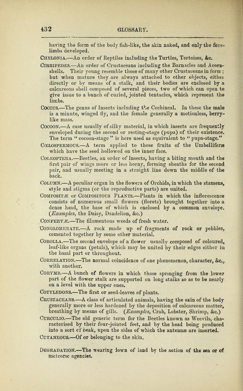 having the form of the body fish-like, the akin nakod, and only the fore limbs developed. Chelonia. —An order of Reptiles including the Turtles, Tortoises, &c. Oirripedes. —An order of Crustaceans including the Barnacles and Acorn- shells. Their young resemble those of many other Crustaceans in form ; but when mature they are always attached to other objects, either directly or by means of a stalk, and their bodies are enclosed by a calcareous shell composed of several pieces, two of which can open to give issue to a bunch of curled, jointed tentacles, which represent the limbs. COCCUS. —The genus of Insects including the Cochineal. In these the male is a minute, winged fly, and the female generally a motionless, berry like mass. Cocoon. — A case usually of silky material, in which insects are frequently enveloped during the second or resting-stage (pupa) of their existence. The term “ cocoon-stage ” is here used as equivalent to “ pupa-stage.” Ccelospermous. —A term applied to those fruits of the Umbelliferre which have the seed hollowed on the inner face. Coleóptera. —Beetles, an order of Insects, having a biting mouth and the first pair of wings more or less horny, forming sheaths for the second pair, and usually meeting in a straight line down the middle of the back. Column. —A peculiar organ in the flowers of Orchids, in which the stamens, style and stigma (or the reproductive parts) are united. Composite or Compositous Plants. —Plants in which the inflorescence consists of numerous small flowers (florets) brought together into a dense head, the base of which is enclosed by a common envelope. (Examples, the Daisy, Dandelion, &c.) Confervle. —The filamentous weeds of fresh water. Conglomerate. —A rock made up of fragments of rock or pebbles, cemented together by some other material. Corolla. —The second envelope of a flower usually composed of coloured, leaf-like organs (petals), which may be united by their edges either in the basal part or throughout. Correlation. —The normal coincidence of one phenomenon, character, &c., with another. Corymb. —A bunch of flowers in which those springing from the lower part of the flower stalk are supported on long stalks so as to be nearly on a level with the upper ones. Cotyledons. —The first or seed-leaves of plants. Crustaceans. —A class of articulated animals, having the stin of the body generally more or less hardened by the deposition of calcareous matter, breathing by means of gills. ( Examples , Crab, Lobster, Shrimp, &c.) Curculio. —The old generic term for the Beetles known as Weevils, cha racterised by their four-jointed feet, and by the head being produced into a sort cf beak, upon the sides of which the antennae are inserted. Cutaneous. —Of or belonging to the skin. Degradation. —The wearing lown of land by the action of the sea or of meteoric agencies.