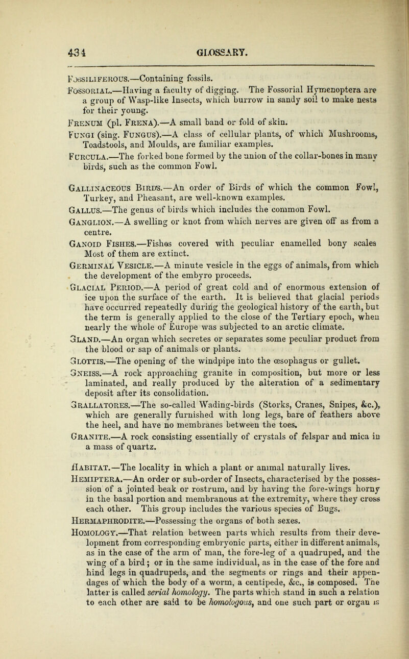 1'JdSi life ROUS.—Containing fossils. Fossorial. —Having a faculty of digging. The Fossorial Hymenoptera arc a group of Wasp-like Insects, which burrow in sandy soil to make nest» for their young. Frenum (pi. Frena). —A small band or fold of skin. Fungi (sing. Fungus). —A class of cellular plants, of which Mushrooms, Toadstools, and Moulds, are familiar examples. Furcula.—T he forked bone formed by the union of the collar-bones in many birds, such as the common Fowl. Gallinaceous Birds. —An order of Birds of which the common Fowl, Turkey, and Pheasant, are well-known examples. Gallus.—T he genus of birds which includes the common Fowl. Ganglion. —A swelling or knot from which nerves are given off as from a centre. Ganoid Fishes. —Fishes covered with peculiar enamelled bony scales Most of them are extinct. Germinal Vesicle. —A minute vesicle in the eggs of animals, from which the development of the embyro proceeds. Glacial Period. —A period of great cold and of enormous extension of ice upon the surface of the earth. It is believed that glacial periods have occurred repeatedly duriiig the geological history of the earth, but the term is generally applied to the close of the Tertiary epoch, when nearly the whole of Europe was subjected to an arctic climate. Gland. —An organ which secretes or separates some peculiar product from the blood or sap of animals or plants. Glottis. —The opening of the windpipe into the oesophagus or gullet. Gneiss. —A rock approaching granite in composition, but more or less laminated, and really produced by the alteration of a sedimentary deposit after its consolidation. Grallatores. —The so-called Wading-birds (Storks, Cranes, Snipes, Ac.), which are generally furnished with long legs, bare of feathers above the heel, and have no membranes between the toes. Granite. —A rock consisting essentially of crystals of felspar and mica in a mass of quartz. Habitat. —The locality in which a plant or animal naturally lives. Hemiptera. —An order or sub-order of Insects, characterised by the posses sion of a jointed beak or rostrum, and by having the fore-wings horny in the basal portion and membranous at the extremity, where they cross each other. This group includes the various species of Bugs. Hermaphrodite. —Possessing the organs of both sexes. Homology. —That relation between parts which results from their deve lopment from corresponding embryonic parts, either in different animals, as in the case of the arm of man, the fore-leg of a quadruped, and the wing of a bird; or in the same individual, as in the case of the fore and hind legs in quadrupeds, and the segments or rings and their appen dages of which the body of a worm, a centipede, &c., is composed. The latter is called serial homology. The parts which stand in such a relation to each other are said to be homologous , and one such part or organ is