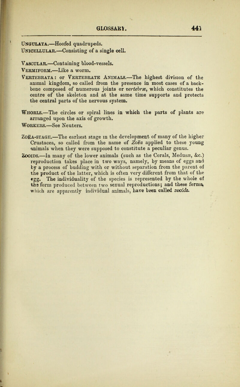 Ungulata. —Hoofed quadrupeds. Unicellular. —Consisting of a single cell. Vascular.—C ontaining blood-vessels. Vermiform. —Like a worm. Vertebrata: or Vertebrate Animals. —The highest division of the animal kingdom, so called from the presence in most cases of a back bone composed of numerous joints or vertebras , which constitutes the centre of the skeleton and at the same time supports and protects the central parts of the nervous system. Whorls.—T he circles or spiral lines in which the parts of plants are arranged upon the axis of growth. Workers. —See Neuters. ZOEA-STAGE. —The earliest stage m the development of many of the higher Crustacea, so called from the name of Zoea applied to these young animals when they were supposed to constitute a peculiar genus. Zooids. —In many of the lower animals (such as the Corals, Medusai, &c.) reproduction takes place in two ways, namely, by means of eggs and by a process of budding with or without separation from the parent oi the product of the latter, which is often very different from that of the «gg. The individuality of the species is represented by the whole of the form produced between two sexual reproductions; and these forma, which are apparently individual animals, have been called zooids.
