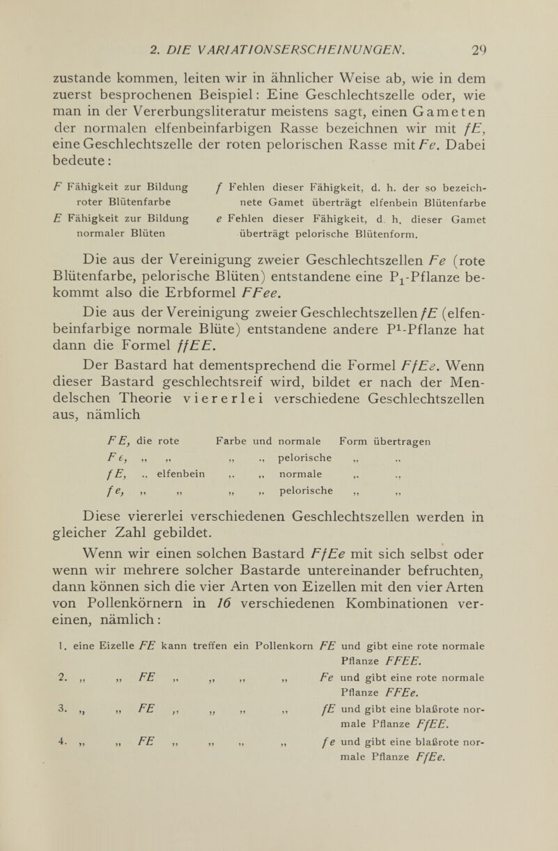 2. DIE VARIATIONSERSCHEINUNGEN. 29 zustande kommen, leiten wir in ähnlicher Weise ab, wie in dem zuerst besprochenen Beispiel : Eine Geschlechtszelle oder, wie man in der Vererbungsliteratur meistens sagt, einen Gameten der normalen elfenbeinfarbigen Rasse bezeichnen wir mit fE, eine Geschlechtszelle der roten pelorischen Rasse mit. Fe. Dabei bedeute : F Fähigkeit zur Bildung f Fehlen dieser Fähigkeit, d. h. der so bezeich- roter Blütenfarbe nete Gamet überträgt elfenbein Blütenfarbe E Fähigkeit zur Bildung e Fehlen dieser Fähigkeit, d. h. dieser Gamet normaler Blüten überträgt pelorische Blütenform. Die aus der Vereinigung zweier Geschlechtszellen Fe (rote Blütenfarbe, pelorische Blüten) entstandene eine P^-Pflanze be¬ kommt also die Erbformel FFee. Die aus der Vereinigung zweier Geschlechtszellen(elfen¬ beinfarbige normale Blüte) entstandene andere Pi-Pflanze hat dann die Formel ff EE. Der Bastard hat dementsprechend die Formel Ff Ее. Wenn dieser Bastard geschlechtsreif wird, bildet er nach der Men- delschen Theorie viererlei verschiedene Geschlechtszellen aus, nämlich FE, die rote Farbe und normale Form übertragen Fe, ,, ,, „ pelorische ,, f E, .. elfenbein ,, „ normale ,. ., fe, „ „ „ ,. pelorische „ „ Diese viererlei verschiedenen Geschlechtszellen werden in gleicher Zahl gebildet. Wenn wir einen solchen Bastard Ff Ее mit sich selbst oder wenn wir mehrere solcher Bastarde untereinander befruchten^ dann können sich die vier Arten von Eizellen mit den vier Arten von Pollenkörnern in 16 verschiedenen Kombinationen ver¬ einen, nämlich : 1. eine Eizelle FE kann treffen ein Pollenkorn FE und gibt eine rote normale Pflanze FFEE. 2. „ „ FE „ ,, ,, „ Fe und gibt eine rote normale Pflanze FFEe. 3. „ „ FE ,, „ ,, ,, fE und gibt eine blaßrote nor¬ male Pflanze FfEE. 4. „ „ FE ,, „ ,, „ f e und gibt eine blaßrote nor¬ male Pflanze FfEe.