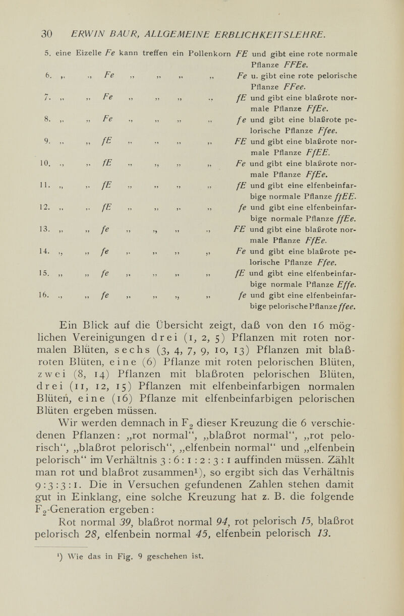 30 ERWIN BAUR, ALLGEMEINE ERBLICHKEITSLEHRE. 5. eine Eizelle Fe kann treffen ein Pollenkorn FE und gibt eine rote normale Pflanze FFEe. bige pelorischePflanze//ee. Ein Blick auf die Übersicht zeigt, daß von den i6 mög¬ lichen Vereinigungen drei (i, 2, 5) Pflanzen mit roten nor¬ malen Blüten, sechs (3, 4, 7, 9, 10, 13) Pflanzen mit blaß¬ roten Blüten, eine (6) Pflanze mit roten pelorischen Blüten, zwei (8, 14) Pflanzen mit blaßroten pelorischen Blüten, drei (11, 12, 15) Pflanzen mit elfenbeinfarbigen normalen Blüten, eine (16) Pflanze mit elfenbeinfarbigen pelorischen Blüten ergeben müssen. Wir werden demnach in Fg dieser Kreuzung die 6 verschie¬ denen Pflanzen: „rot normal, „blaßrot normal, „rot pelo- risch, „blaßrot pelorisch, „elfenbein normal und „elfenbein pelorisch im Verhältnis 3:6:1:2:3:1 auffinden müssen. Zählt man rot und blaßrot zusammen^), so ergibt sich das Verhältnis 9:3:3:1. Die in Versuchen gefundenen Zahlen stehen damit gut in Einklang, eine solche Kreuzung hat z. B. die folgende Fg-Generation ergeben : Rot normal 39, blaßrot normal 94, rot pelorisch 15, blaßrot pelorisch 28, elfenbein normal 45, elfenbein pelorisch 13. ') Wie das in Fig. 9 geschehen ist.