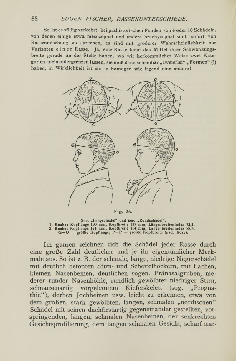 88 EUGEN FISCHER, RASSENUNTERSCHIEDE. So ist es völlig verkehrt, bei prähistorischen Funden von 6 oder 10 Schädeln, von denen einige etwa mesozephal und andere brachyzephal sind, sofort von Rassenmischung zu sprechen, es sind mit größerer Wahrscheinlichkeit nur Varianten einer Rasse. Ja, eine Rasse kann das Mittel ihrer Schwrankungs- breite gerade an der Stelle haben, wo wir herkömmlicher Weise zwei Kate¬ gorien aneinandergrenzen lassen, sie muß dann scheinbar „zweierlei „Formen (I) haben, in Wirklichkeit ist sie so homogen wie irgend eine andere 1 Sog. „Langschädel und sog. „Rundschädel. 1. Knabe: Kopflänge 190 mm, Kopfbreite 137 mm, Längenbreitenindex 72,1. 2. Knabe: Kopflänge 174 mm, Kopfbreite 154 mm, Längenbreitenindex 88,5. G—О = größte Kopflänge, P—P = größte Kopfbreite (nach Röse). Im ganzen zeichnen sich die Schädel jeder Rasse durch eine große Zahl deutlicher und je ihr eigentümlicher Merk¬ male aus. So ist z. B. der schmale, lange, niedrige Negerschädel mit deutlich betonten Stirn- und Scheitelhöckern, mit flachen, kleinen Nasenbeinen, deutlichen sogen, Pränasalgruben, nie¬ derer runder Nasenhöhle, rundlich gewölbter niedriger Stirn, schnauzenartig vorgebautem Kieferskelett (sog. „Progna¬ thie), derben Jochbeinen usw. leicht zu erkennen, etwa von dem großen, stark gewölbten, langen, schmalen „nordischen Schädel mit seinen dachfirstartig gegeneinander gestellten, vor¬ springenden, langen, schmalen Nasenbeinen, der senkrechten Gesichtsprofilierung, dem langen schmalen Gesicht, scharf mar-