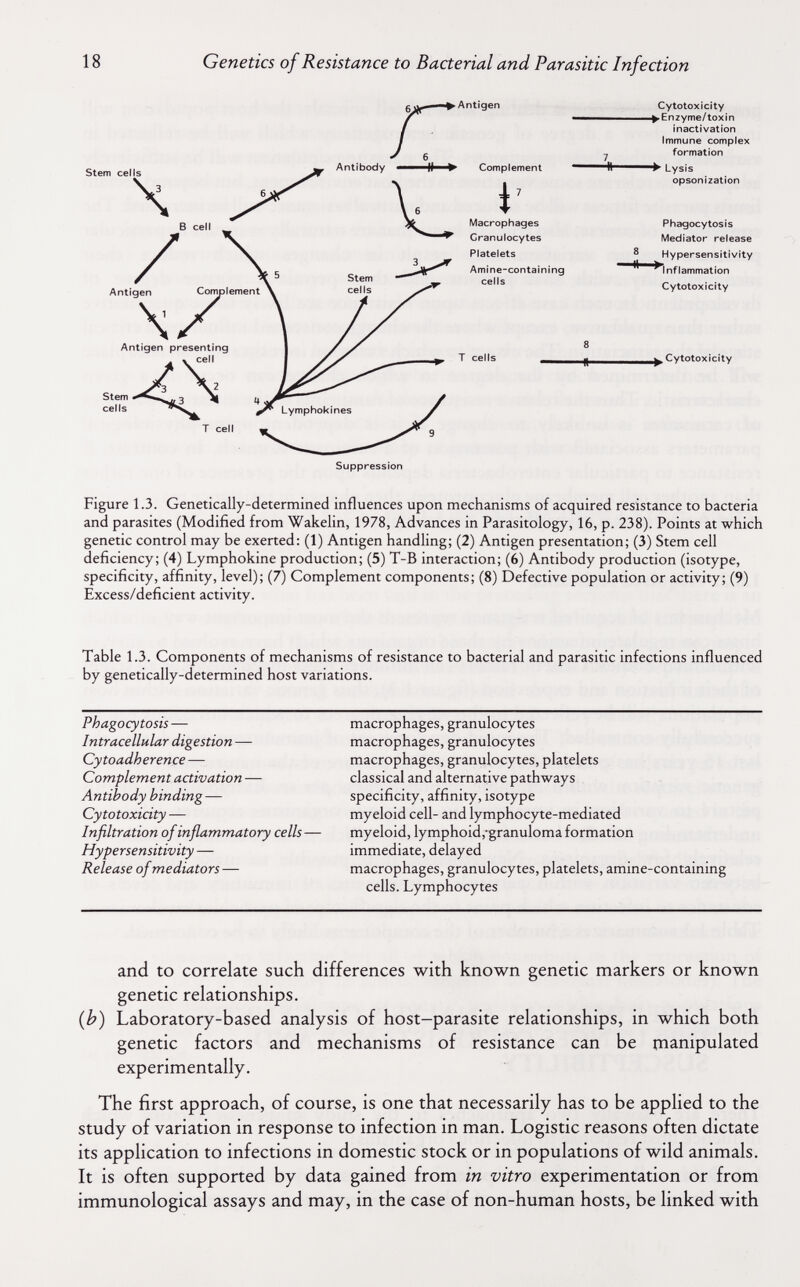 18 Genetics of Resistance to Bacterial and Parasitic Infection Figure 1.3. Genetically-determined influences upon mechanisms of acquired resistance to bacteria and parasites (Modified from Wakelin, 1978, Advances in Parasitology, 16, p. 238). Points at which genetic control may be exerted: (1) Antigen handling; (2) Antigen presentation; (3) Stem cell deficiency; (4) Lymphokine production; (5) T-B interaction; (6) Antibody production (isotype, specificity, affinity, level); (7) Complement components; (8) Defective population or activity; (9) Excess/deficient activity. Table 1.3. Components of mechanisms of resistance to bacterial and parasitic infections influenced by genetically-determined host variations. and to correlate such differences with known genetic markers or known genetic relationships. (b) Laboratory-based analysis of host-parasite relationships, in which both genetic factors and mechanisms of resistance can be rnanipulated experimentally. The first approach, of course, is one that necessarily has to be applied to the study of variation in response to infection in man. Logistic reasons often dictate its application to infections in domestic stock or in populations of wild animals. It is often supported by data gained from in vitro experimentation or from immunological assays and may, in the case of non-human hosts, be linked with