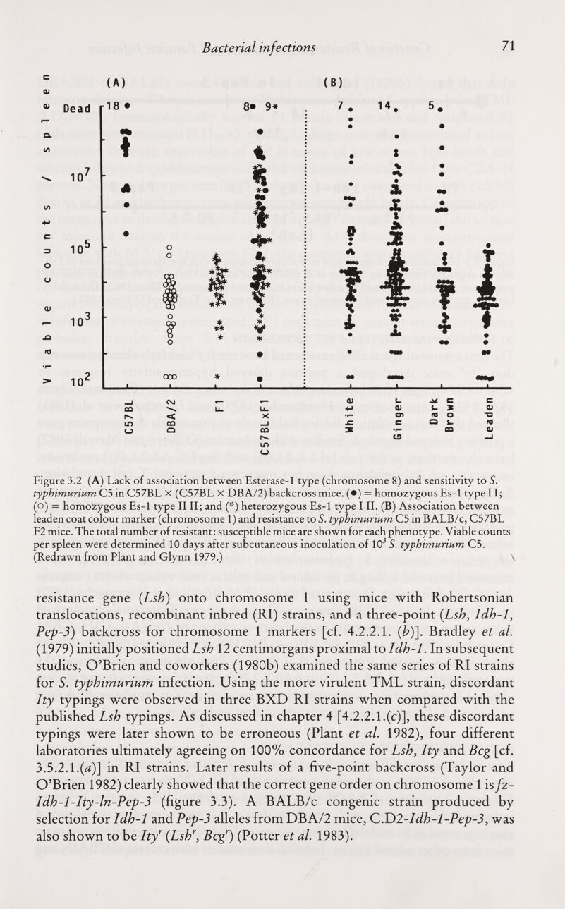 Bacterial infections 71 С Ф (А) Dead г''® * 10' 10' О и ш го 10^ 10' ♦ д о о ООО 8* 9* *5^ *í* *• (В) 7 . 14. t ч f i 1 T fiÛ in о Q) •H < CQ О L. Ф O) fiÛ ir> о ^ с к s ro о о s. 00 Q> Figure 3.2 (A) Lack of association between Esterase-1 type (chromosome 8) and sensitivity to S. typhimurium C5 in C57BL X (C57BL X DBA/2) backcrossmice. (•) = homozygous Es-1 type 11; (o) = homozygous Es-1 type IIII; and (''•') heterozygous Es-1 type I IL (B) Association between leaden coat colour marker (chromosome 1) and resistance to S. typhimurium C5 in BALB/c, C57BL F2 mice. The total number of resistant : susceptible mice are shown for each phenotype. Viable counts per spleen were determined 10 days after subcutaneous inoculation of 10^ S. typhimurium C5. (Redrawn from Plant and Glynn 1979.) \ resistance gene (Lsh) onto chromosome 1 using mice with Robertsonian translocations, recombinant inbred (RI) strains, and a three-point {Lsh, Idh-1, Pep-3) backcross for chromosome 1 markers [cf. 4.2.2.1. (b)]. Bradley et al. (1979) initially positioned Lsh 12 centimorgans proximal to Idh-1. In subsequent studies, O'Brien and coworkers (1980b) examined the same series of RI strains for S. typhimurium infection. Using the more virulent TML strain, discordant Ity typings were observed in three BXD RI strains when compared with the published Lsh typings. As discussed in chapter 4 [4.2.2.1.(c)], these discordant typings were later shown to be erroneous (Plant et al. 1982), four different laboratories ultimately agreeing on 100% concordance for Lsh, Ity and Beg [cf. 3.5.2.1.(d)] in RI strains. Later results of a five-point backcross (Taylor and O'Brien 1982) clearly showed that the correct gene order on chromosome 1 is/z- Idh-l-Ity-ln-Pep-3 (figure 3.3). A BALB/c congenie strain produced by selection for Idh-1 and Pep-3 alleles from DBA/2 mice, Q.T)l-Idh-l-Pep-3, was also shown to be Ity^ {Lsh^, Bcg^) (Potter et al. 1983).